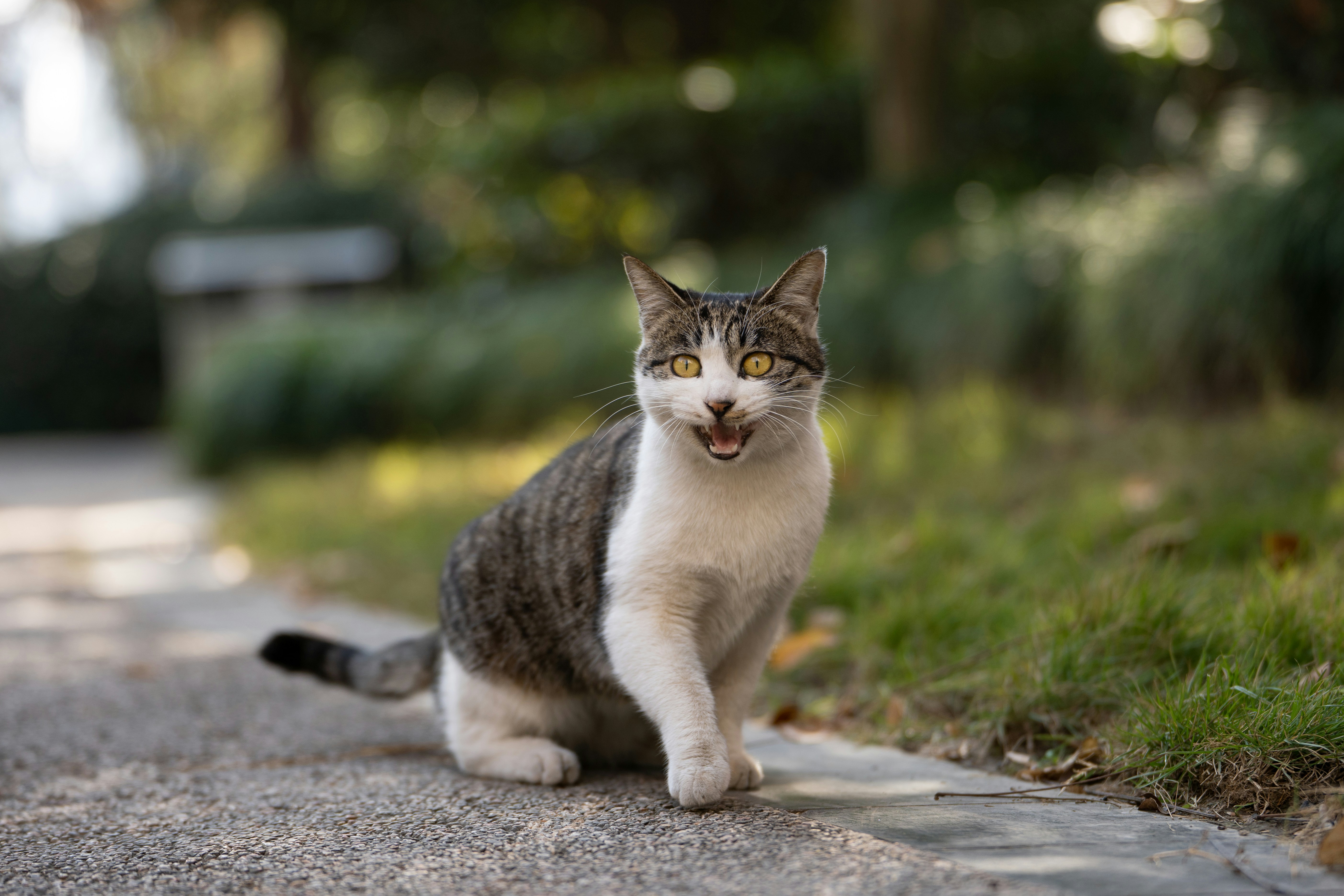 Photo by yooho962464