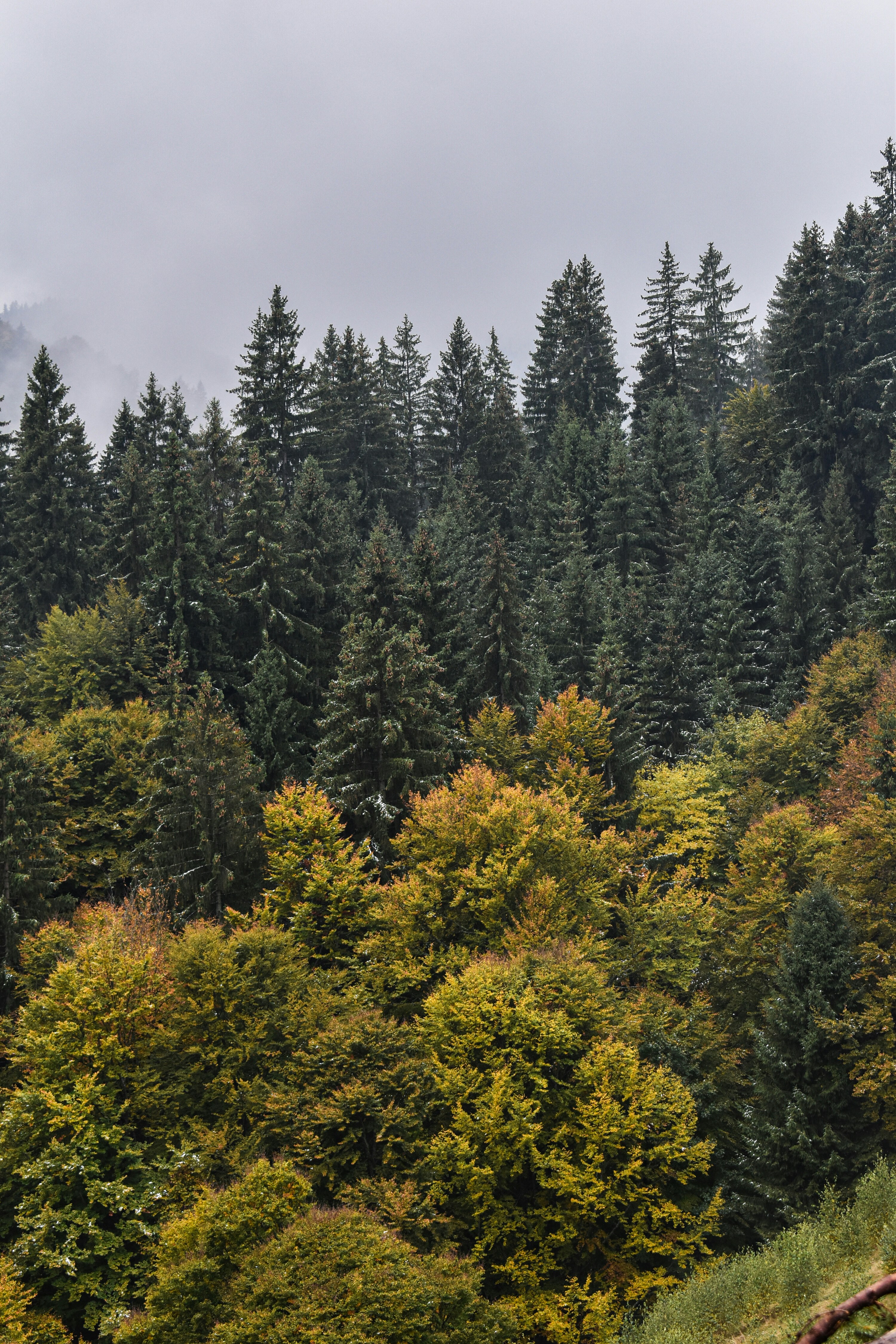 Photo by lorena_preda