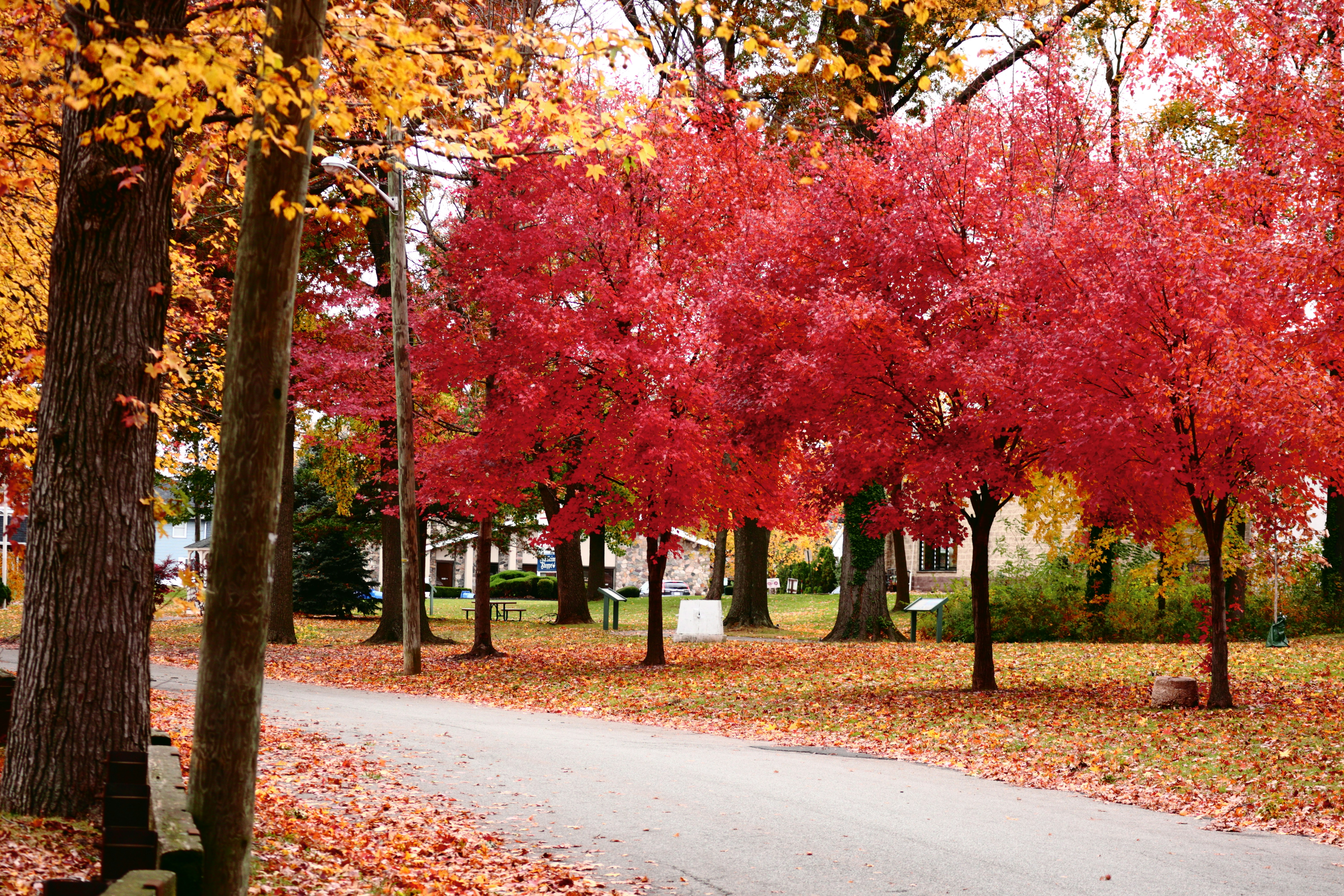 Photo by ucwhphotography