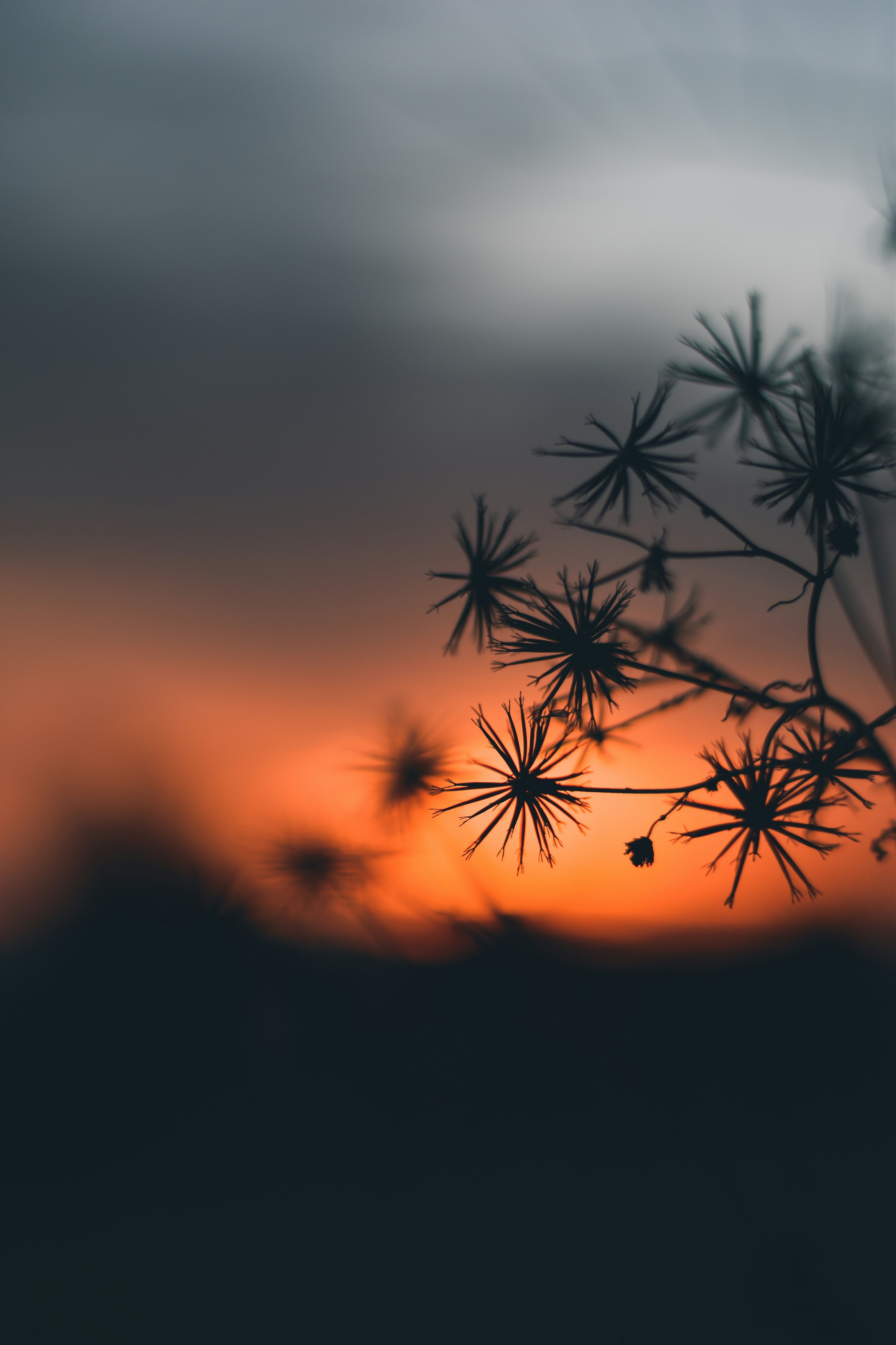 Photo by nasimkeshmiri