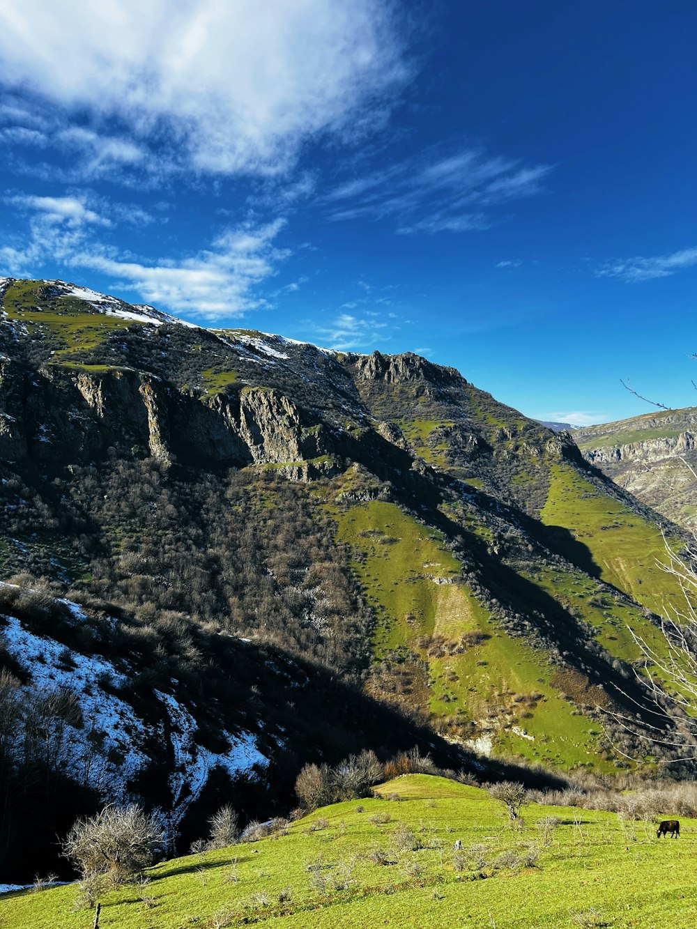 a grassy field with a mountain in the background