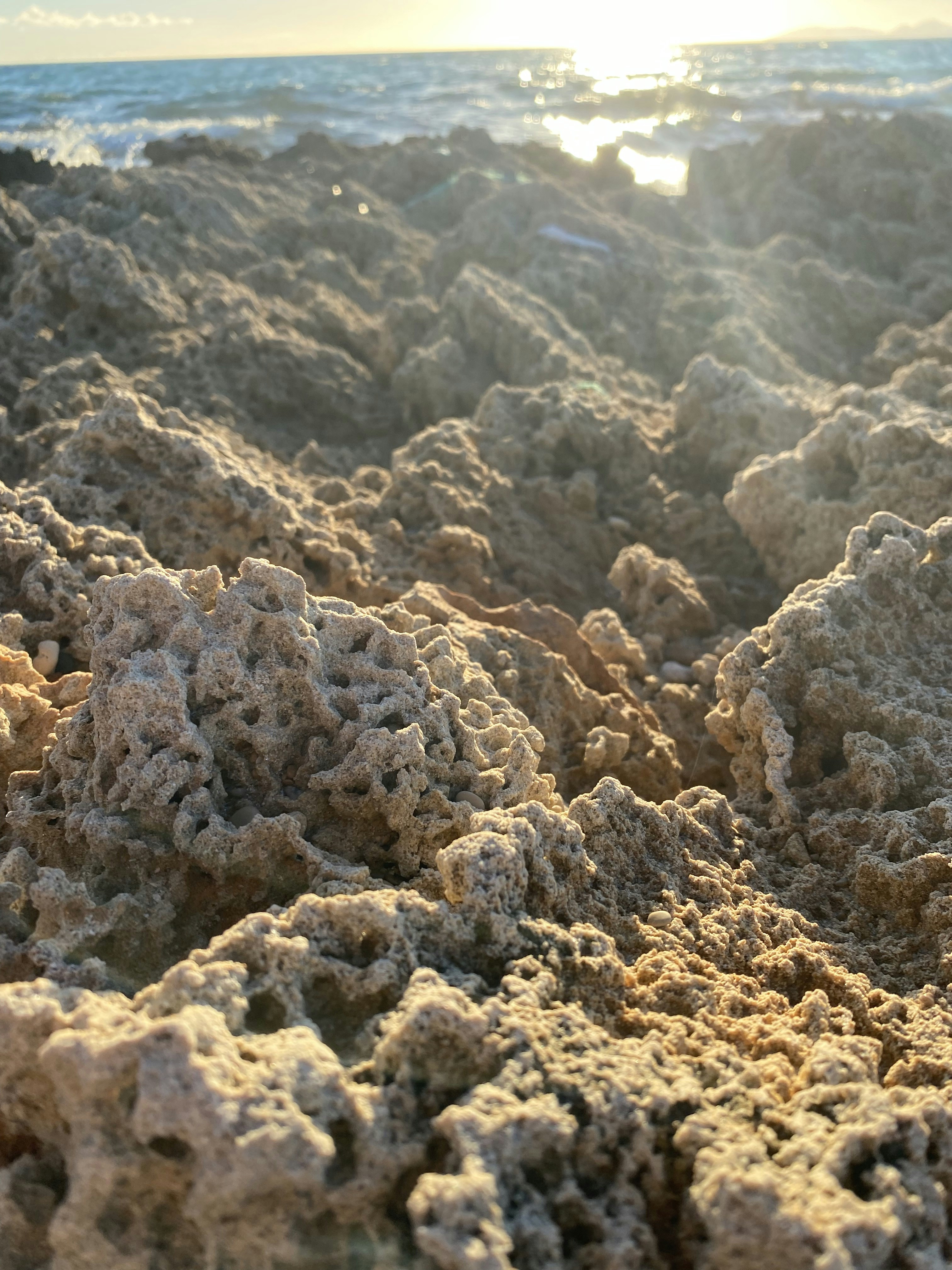 Microscopic Architects of Soil Structure (image credits: unsplash)