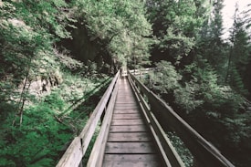 A wooden footbridge extends through a dense, lush forest. The bridge is surrounded by abundant greenery, including trees and shrubs. The pathway appears to be narrow and long, giving a sense of adventure and exploration.