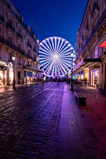 a ferris wheel in the middle of a city at night