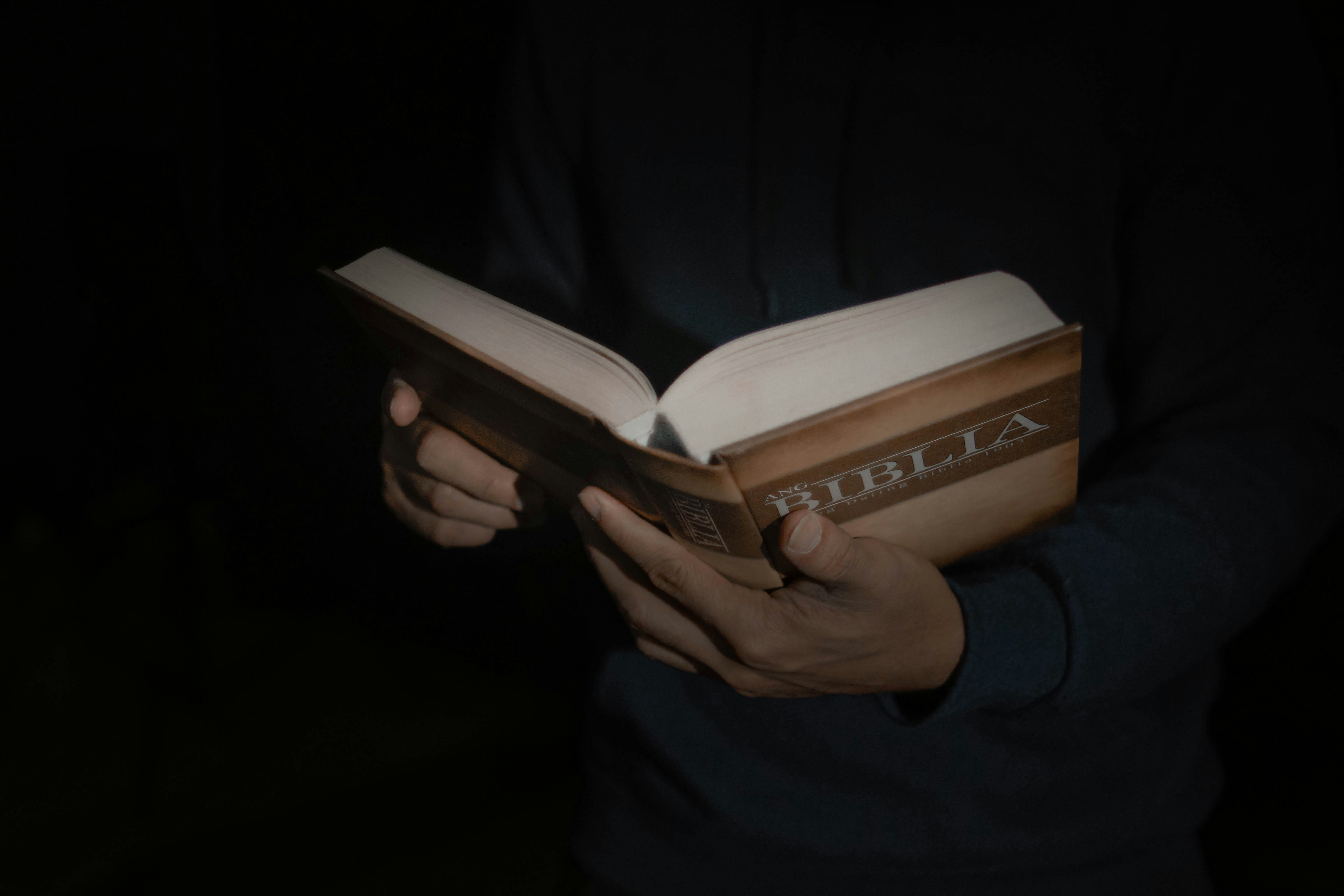 A person holding a book in their hands photo – Free Bible Image on Unsplash