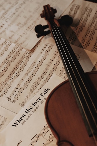 a violin sitting on top of sheet music