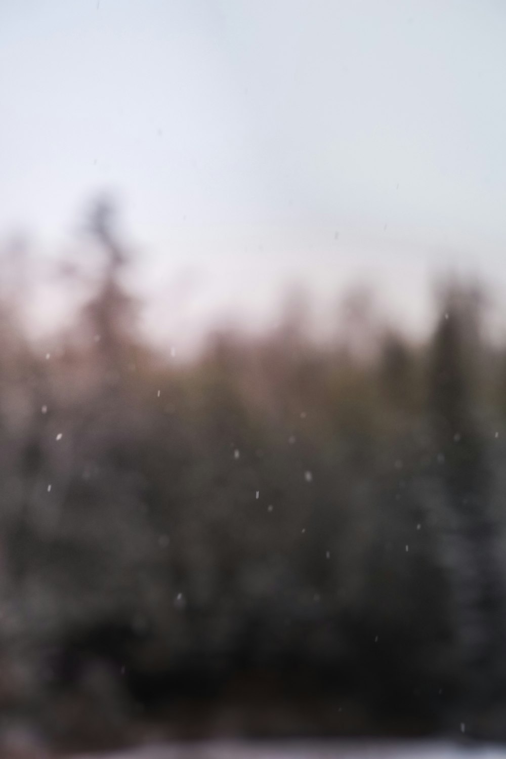 a blurry photo of trees and a body of water