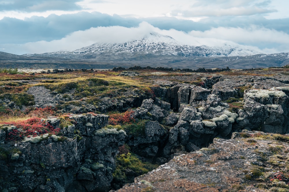 a rocky landscape with a mountain in the background