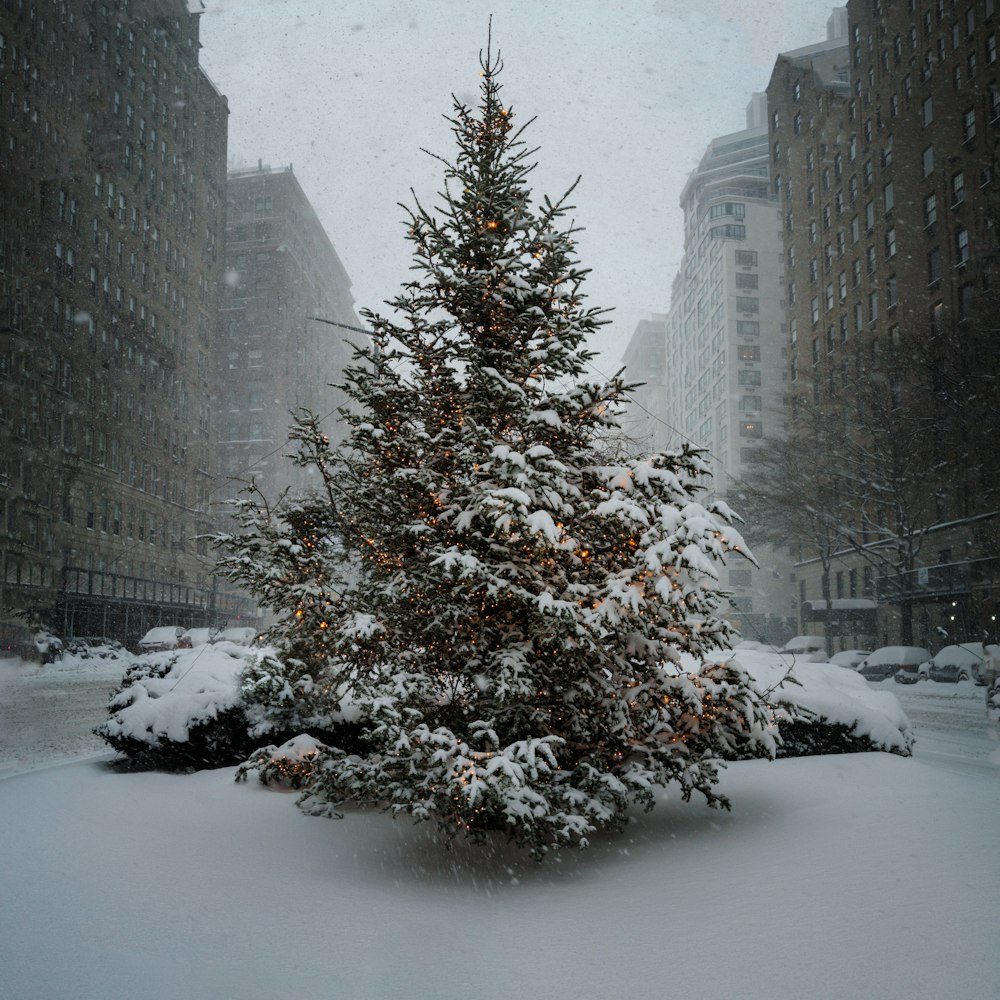 Ein schneebedeckter Weihnachtsbaum mitten in einer Stadt