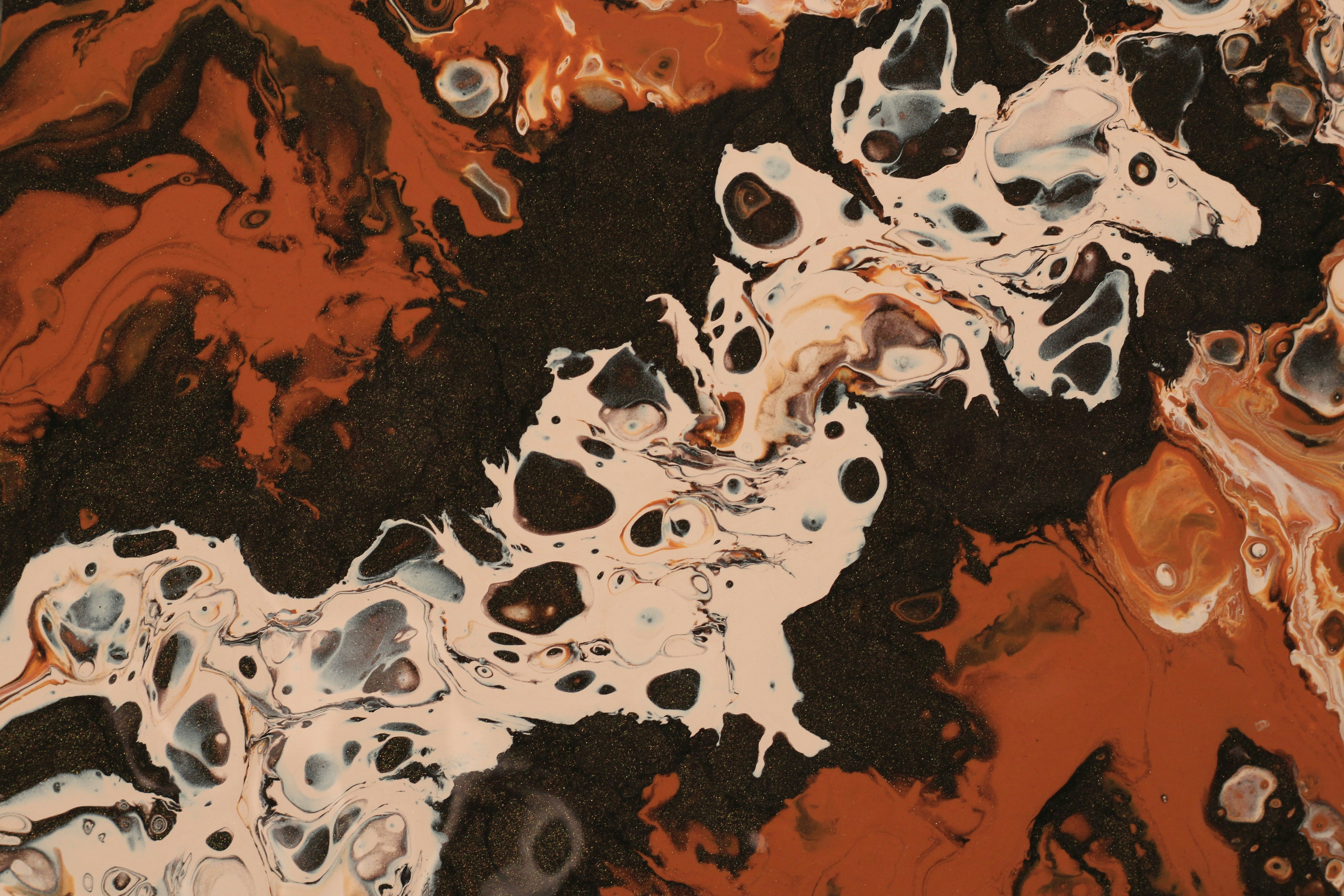 Backgrounds | 12 best free background, wallpaper, plant and green