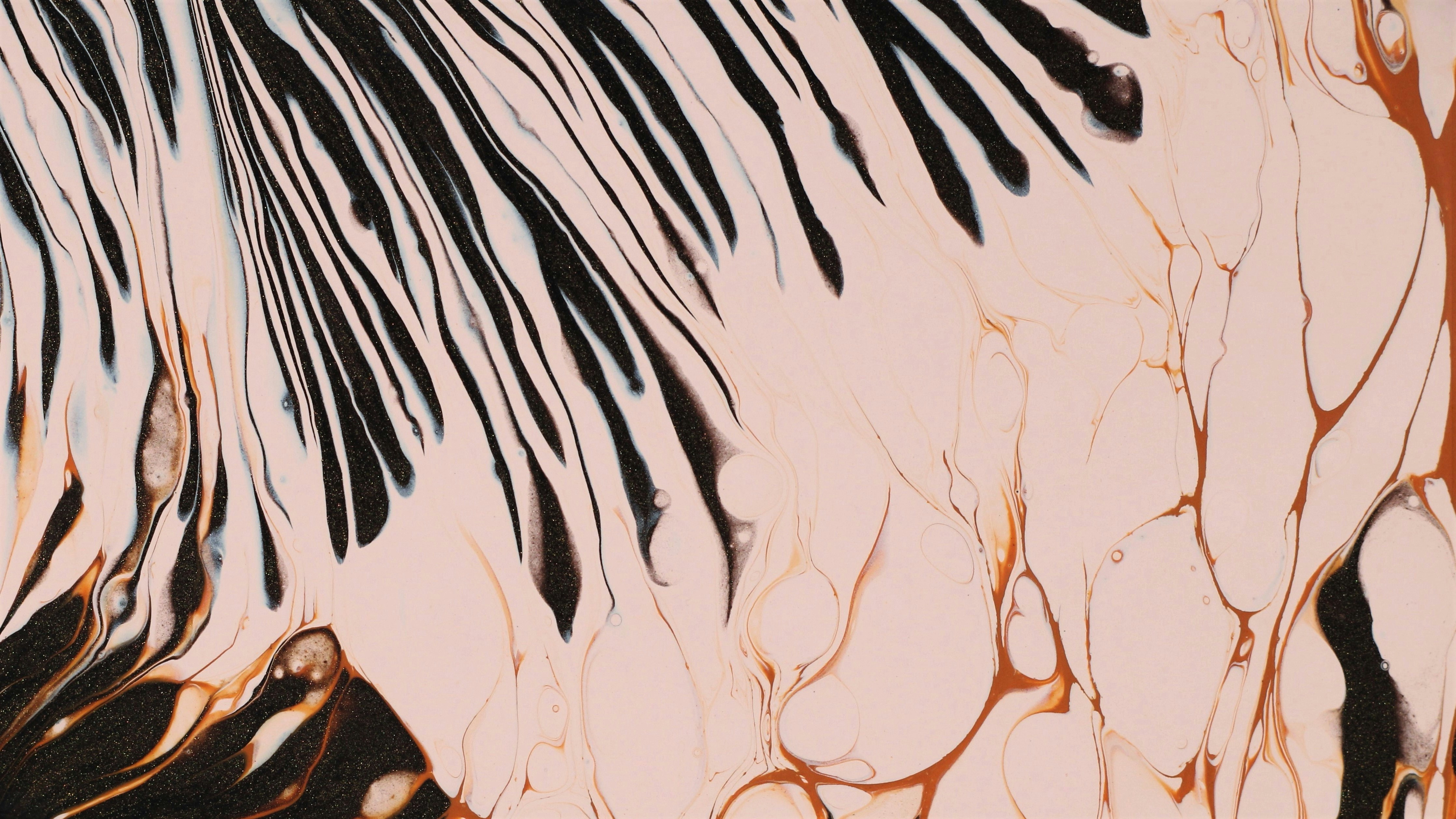 Photo by susan_wilkinson