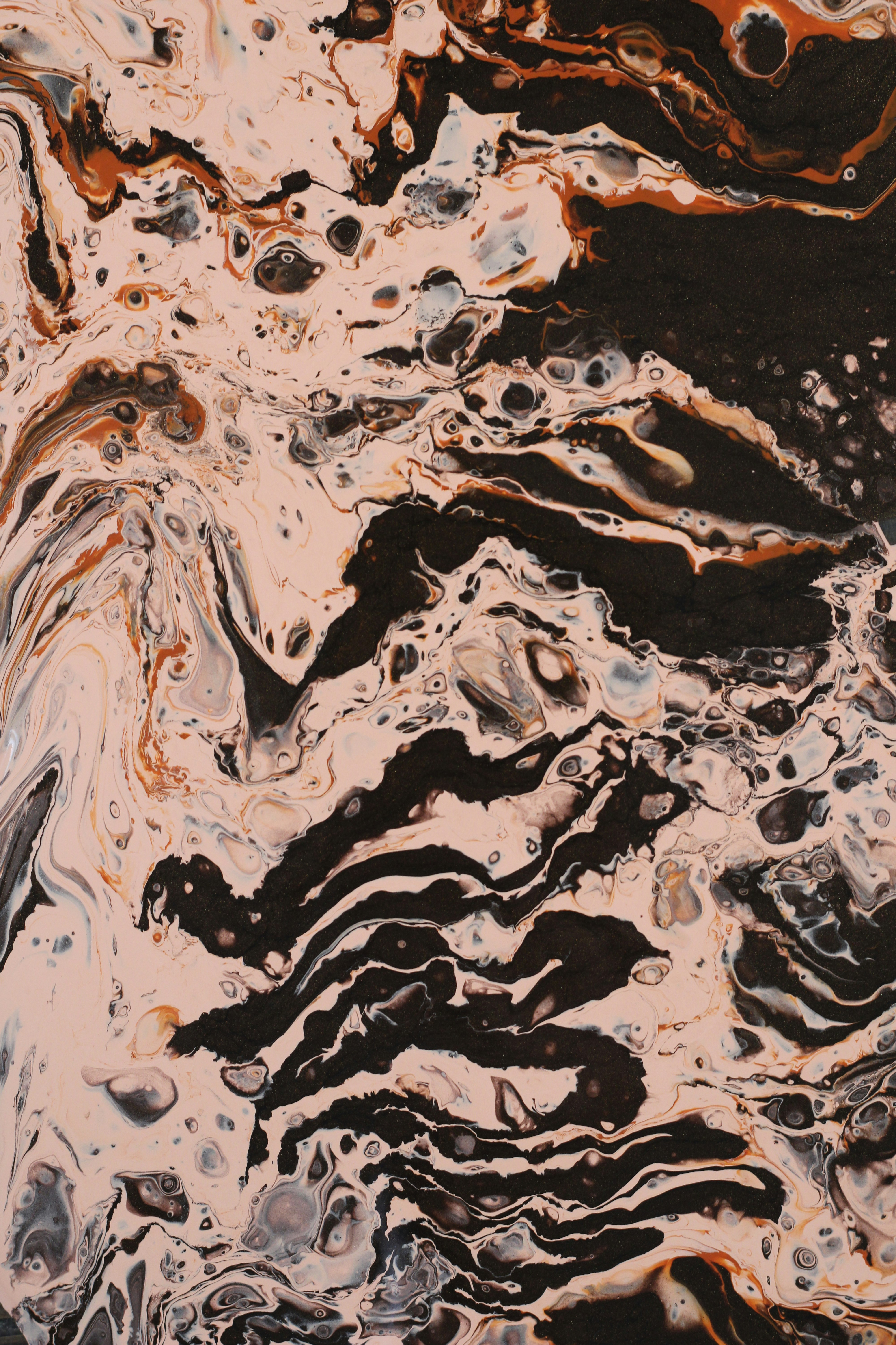 Photo by susan_wilkinson