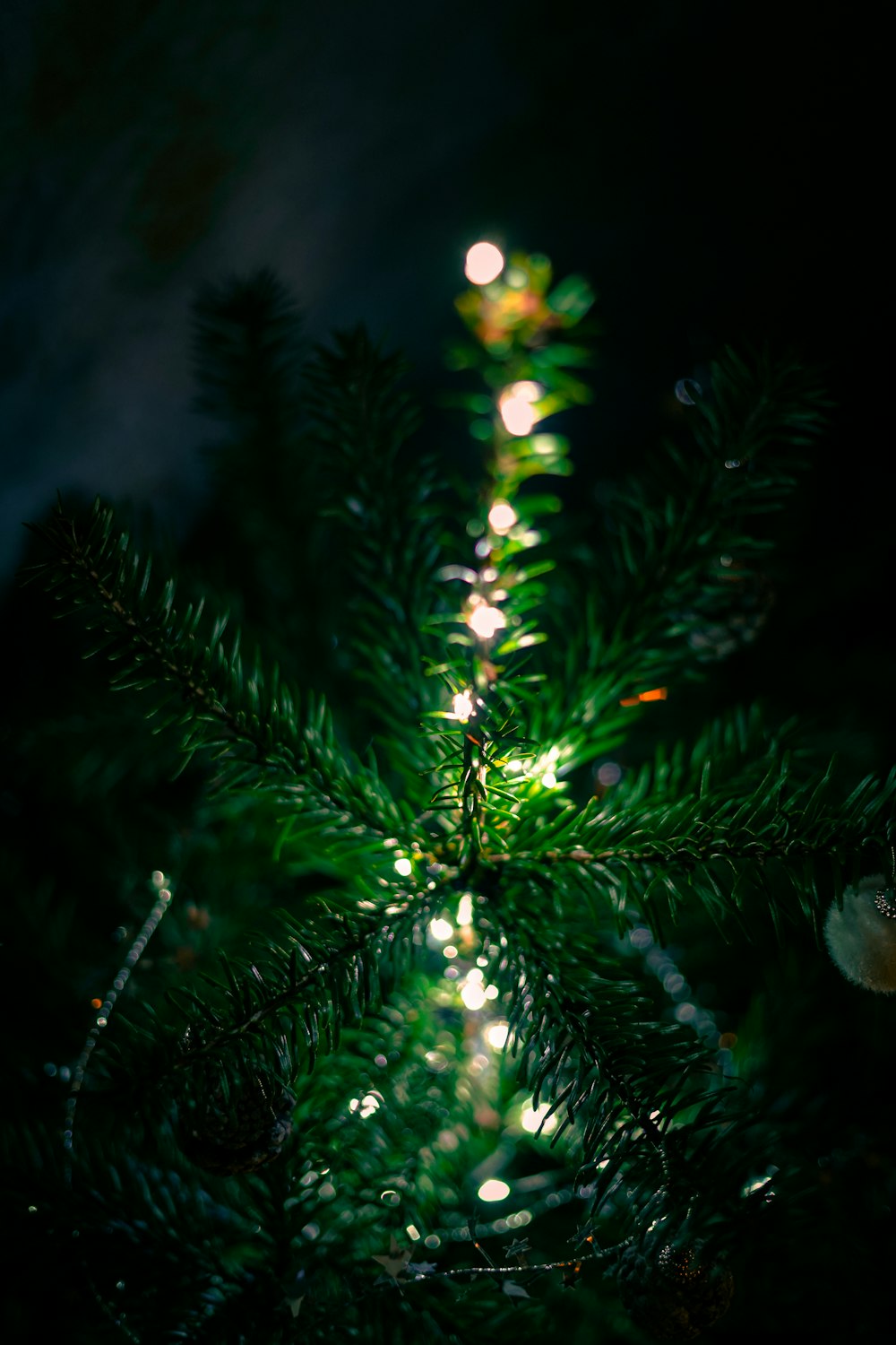 a close up of a green christmas tree