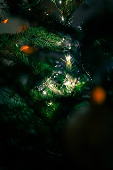 a close up of a christmas tree with lights