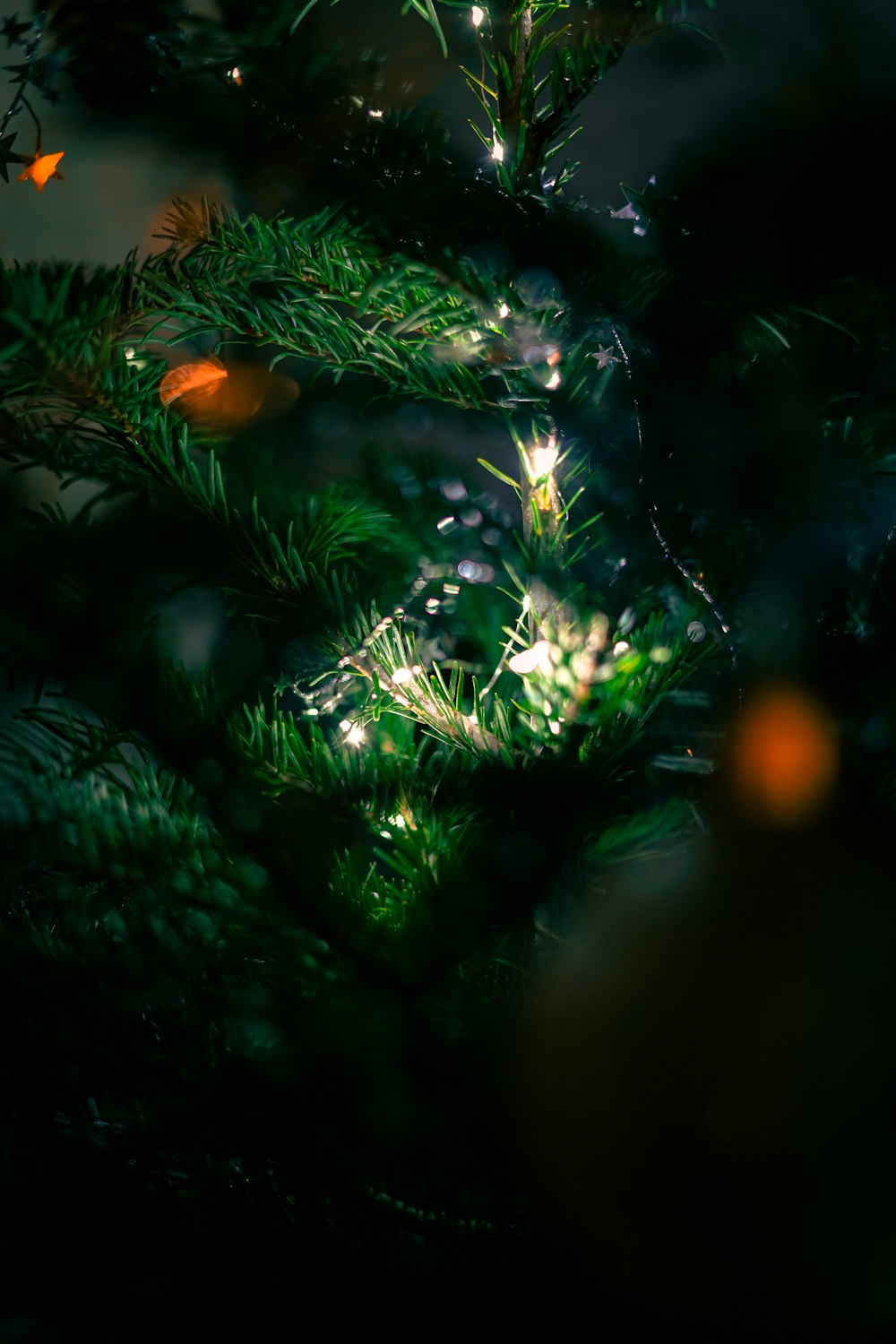 a close up of a christmas tree with lights
