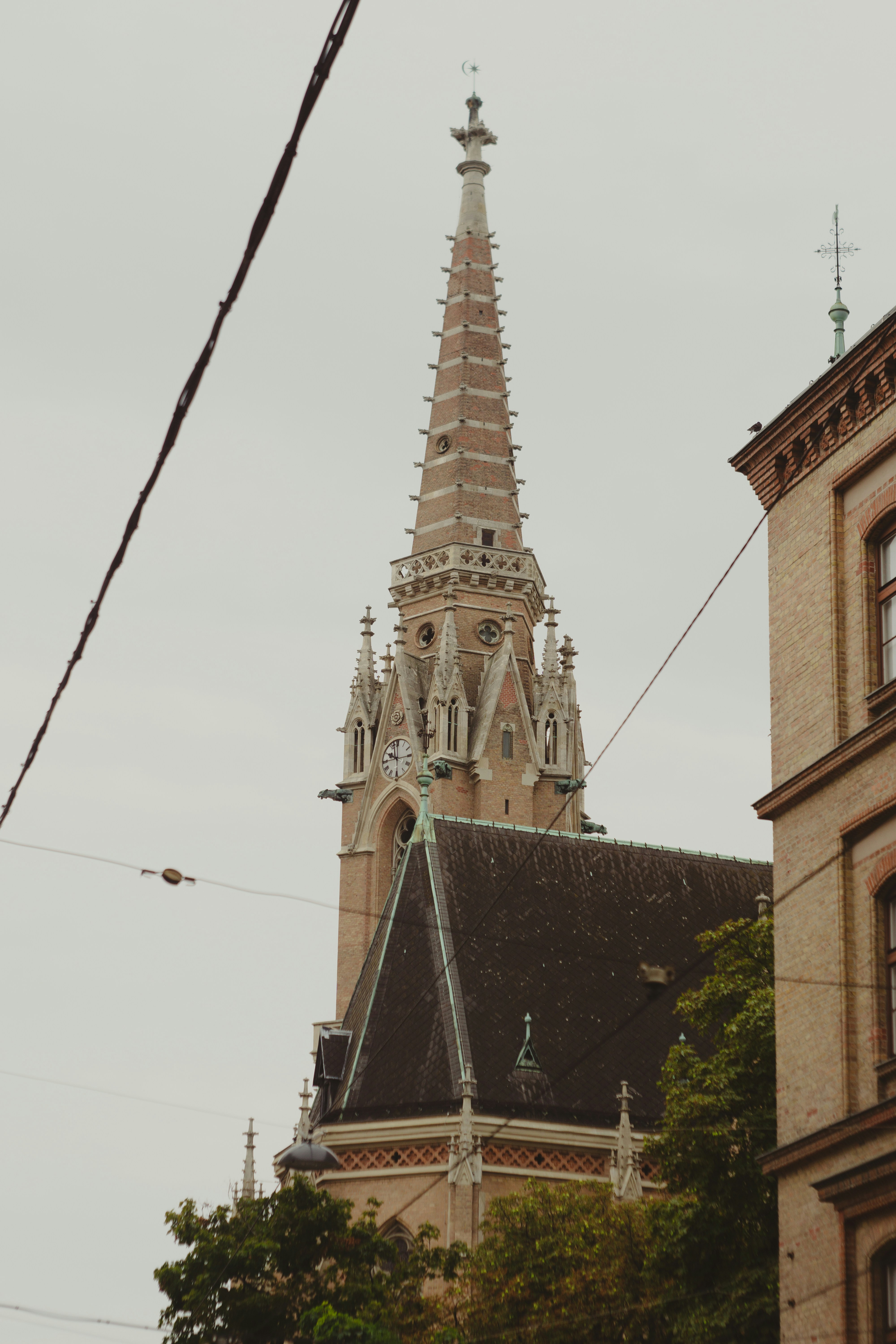 Photo by serenaclerio