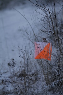 Close-up of brightly colored GPS stakes marking property boundaries in a wooded lot.