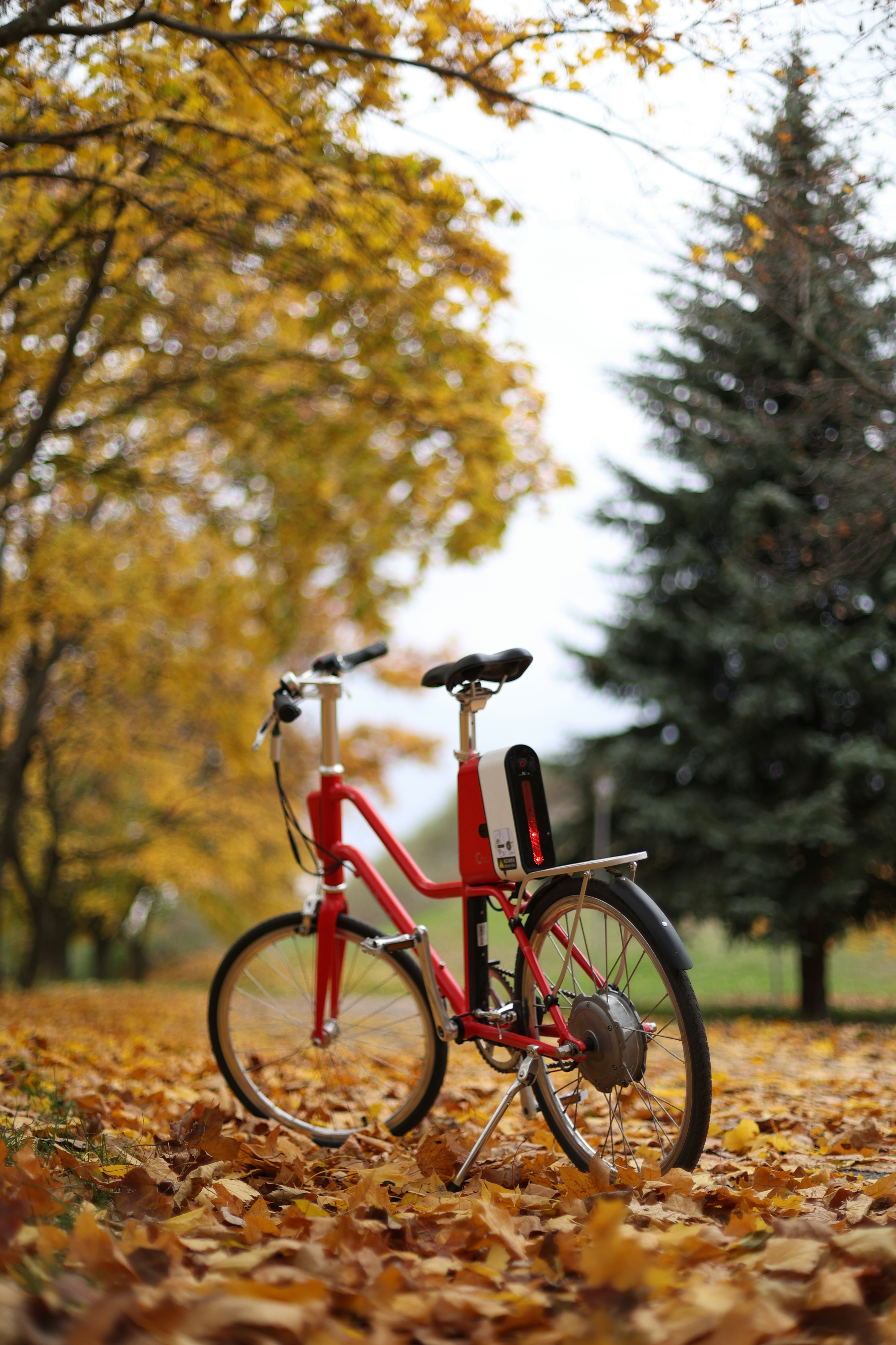 Photo by raspopovamarisha