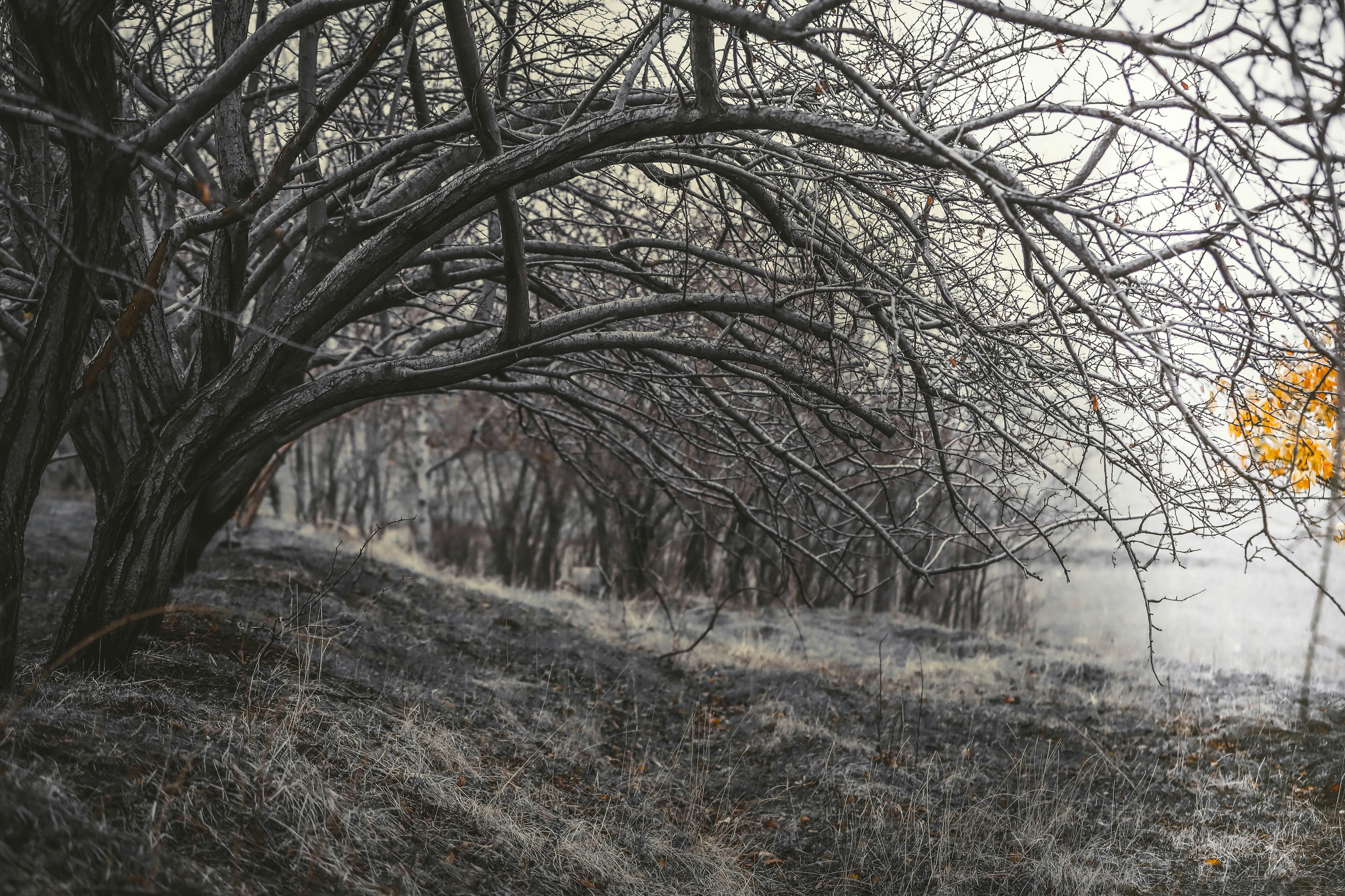 Photo by saidyigitcamlica