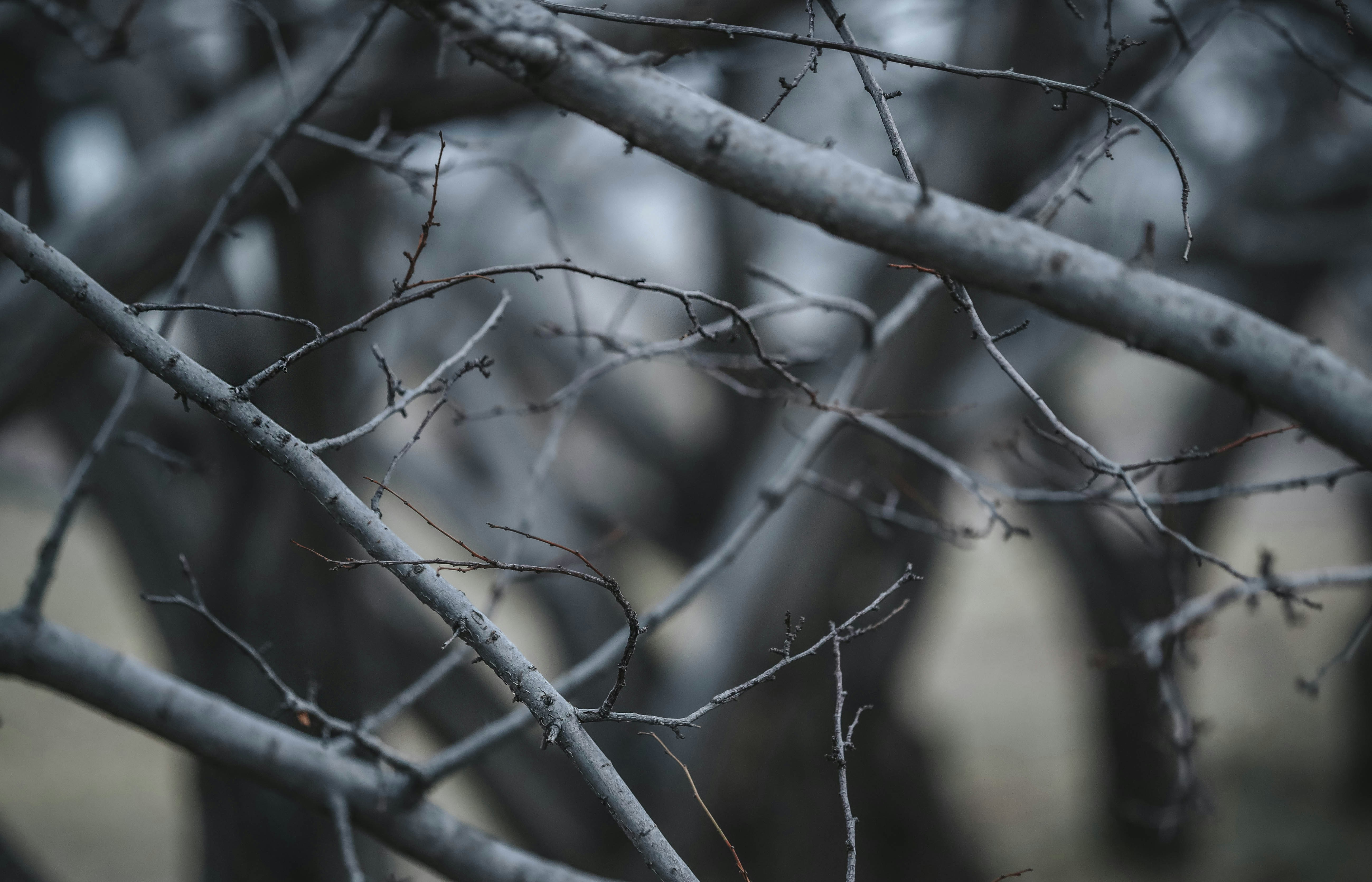 Photo by saidyigitcamlica