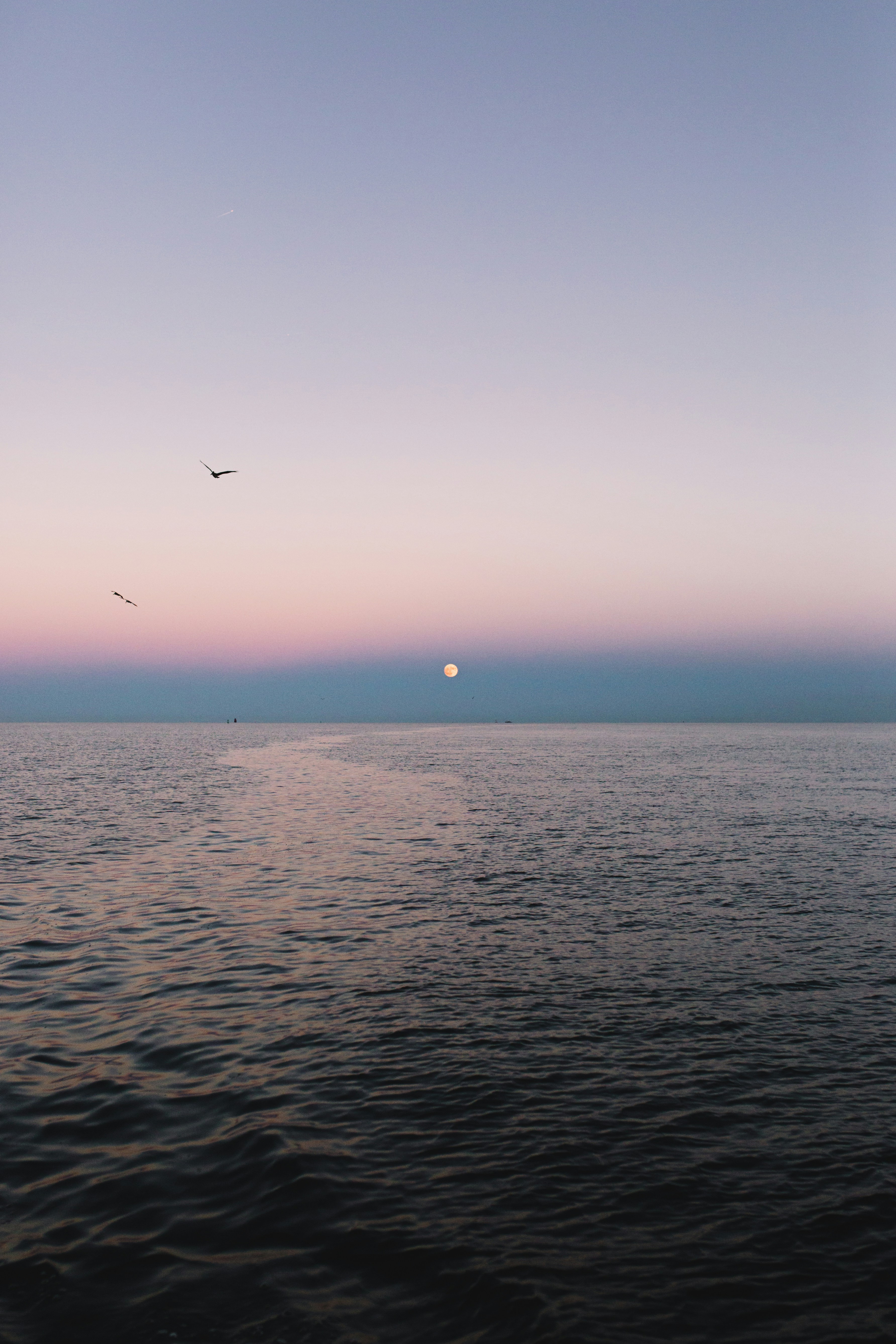 a large body of water with a bird flying over it
