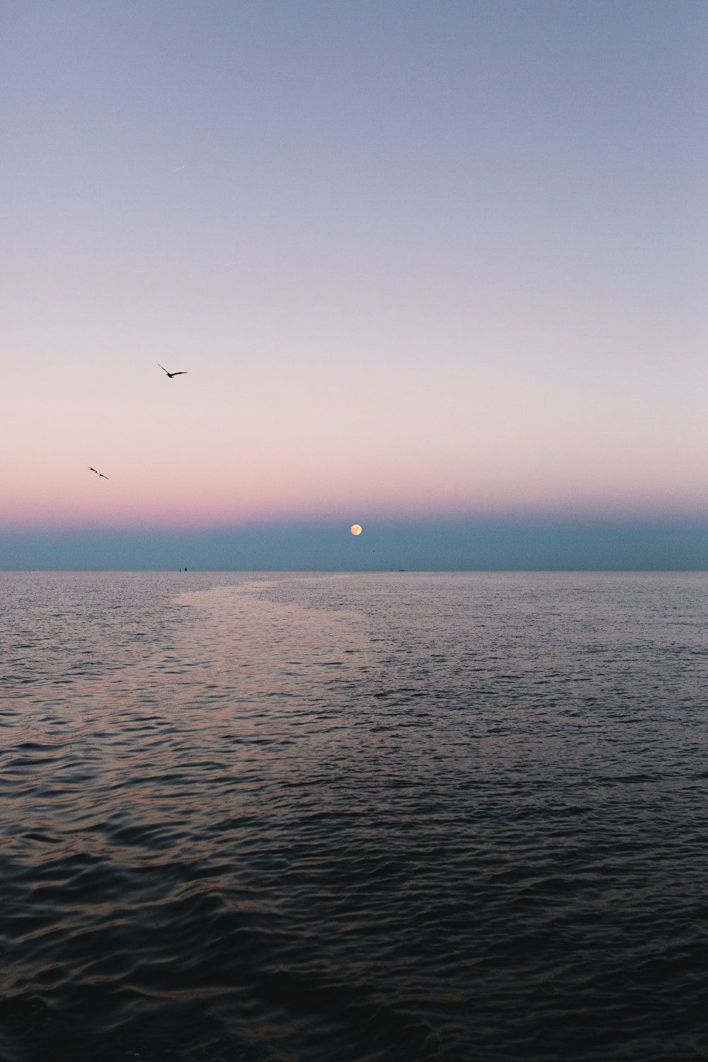 a large body of water with a bird flying over it