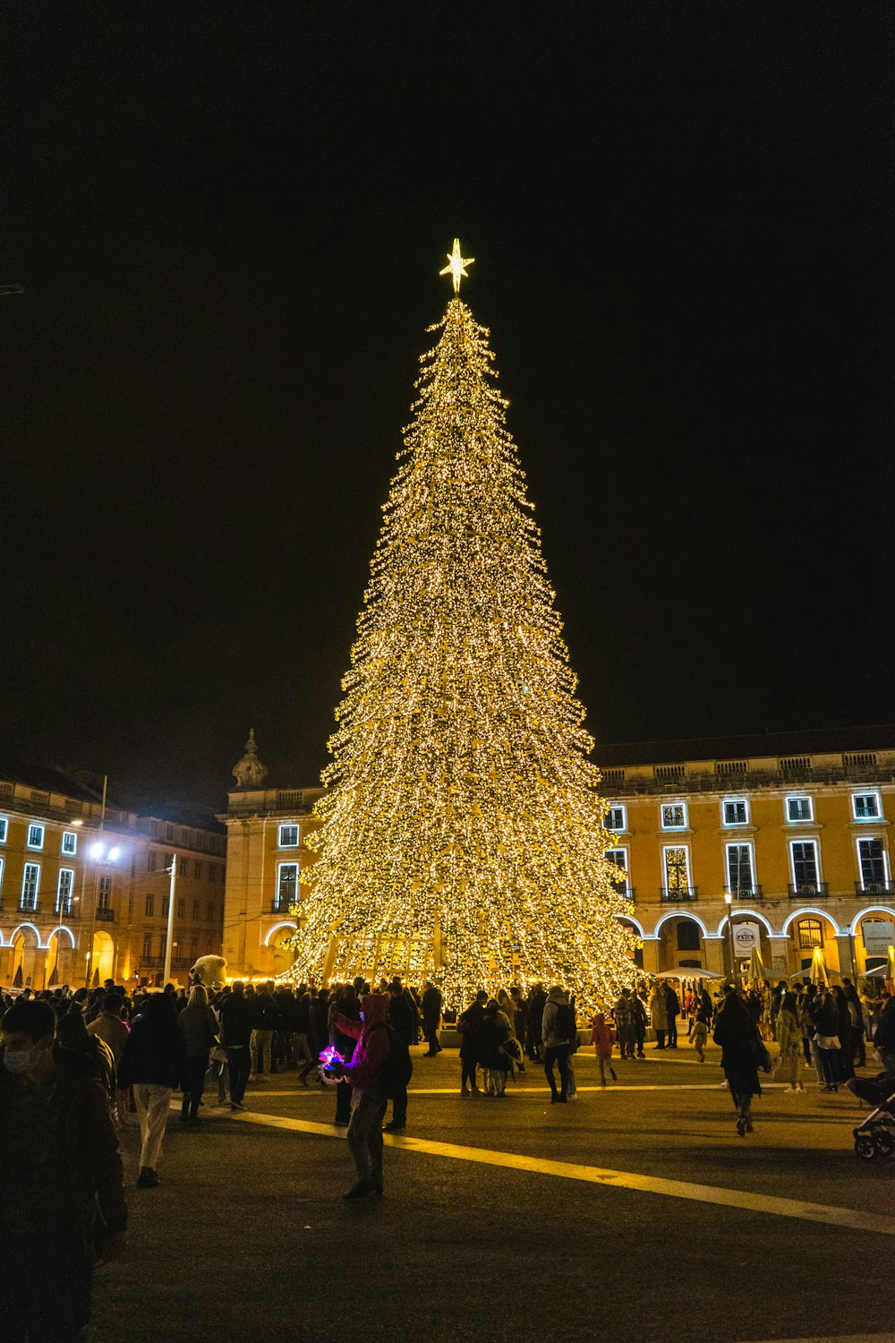 a large christmas tree is lit up at night