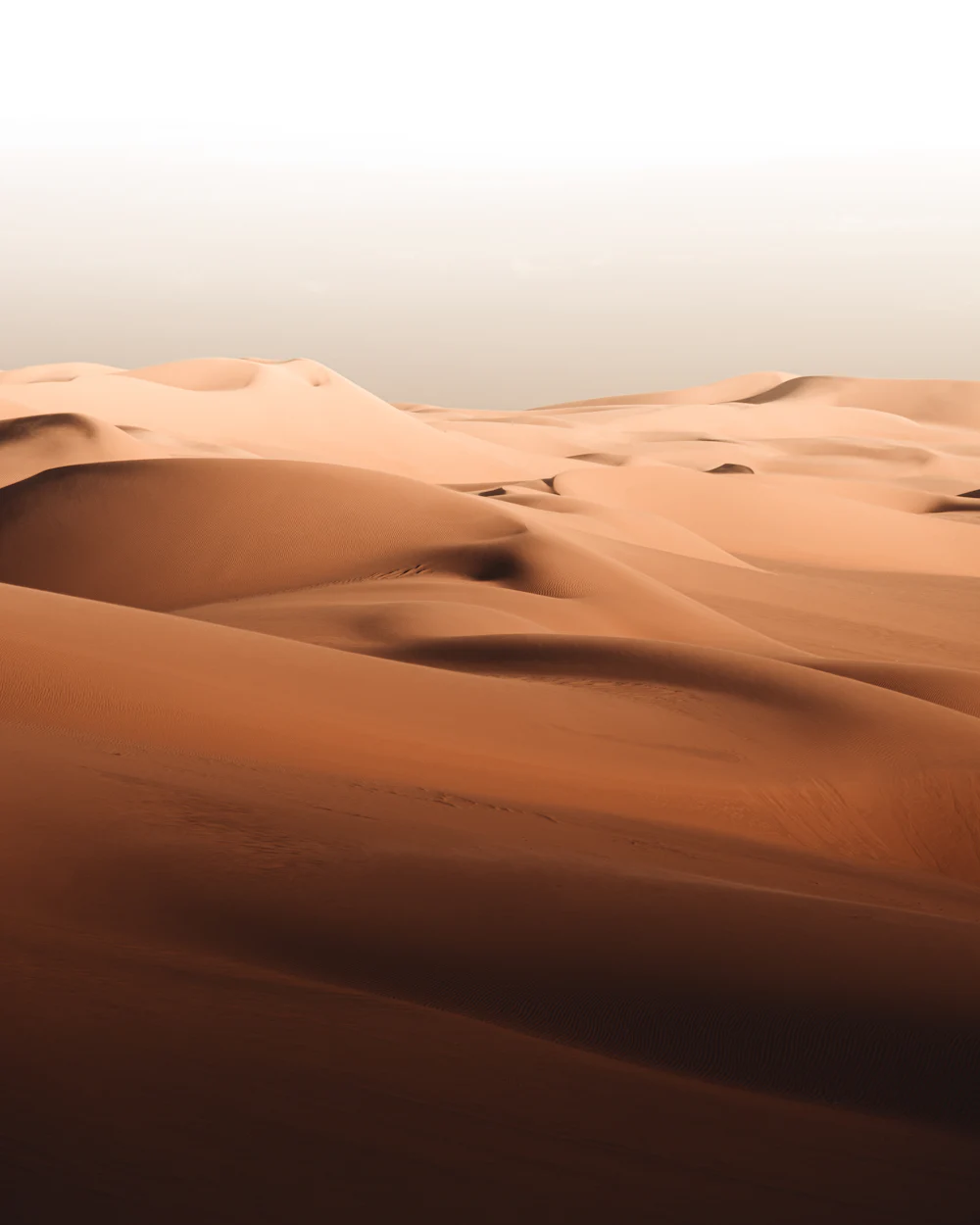 A field of sand dunes running to the horizon.