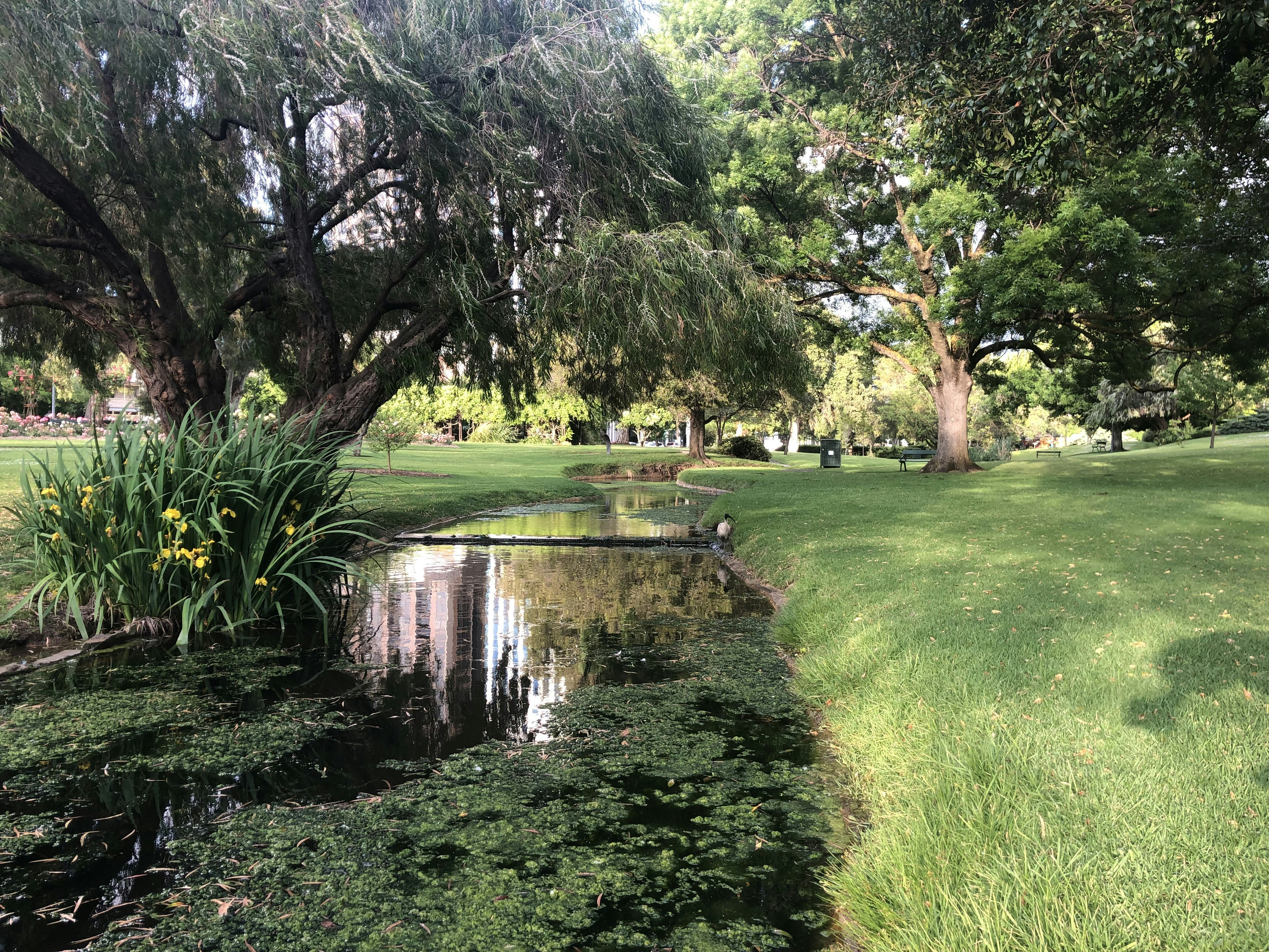 Photo by pierrehenry