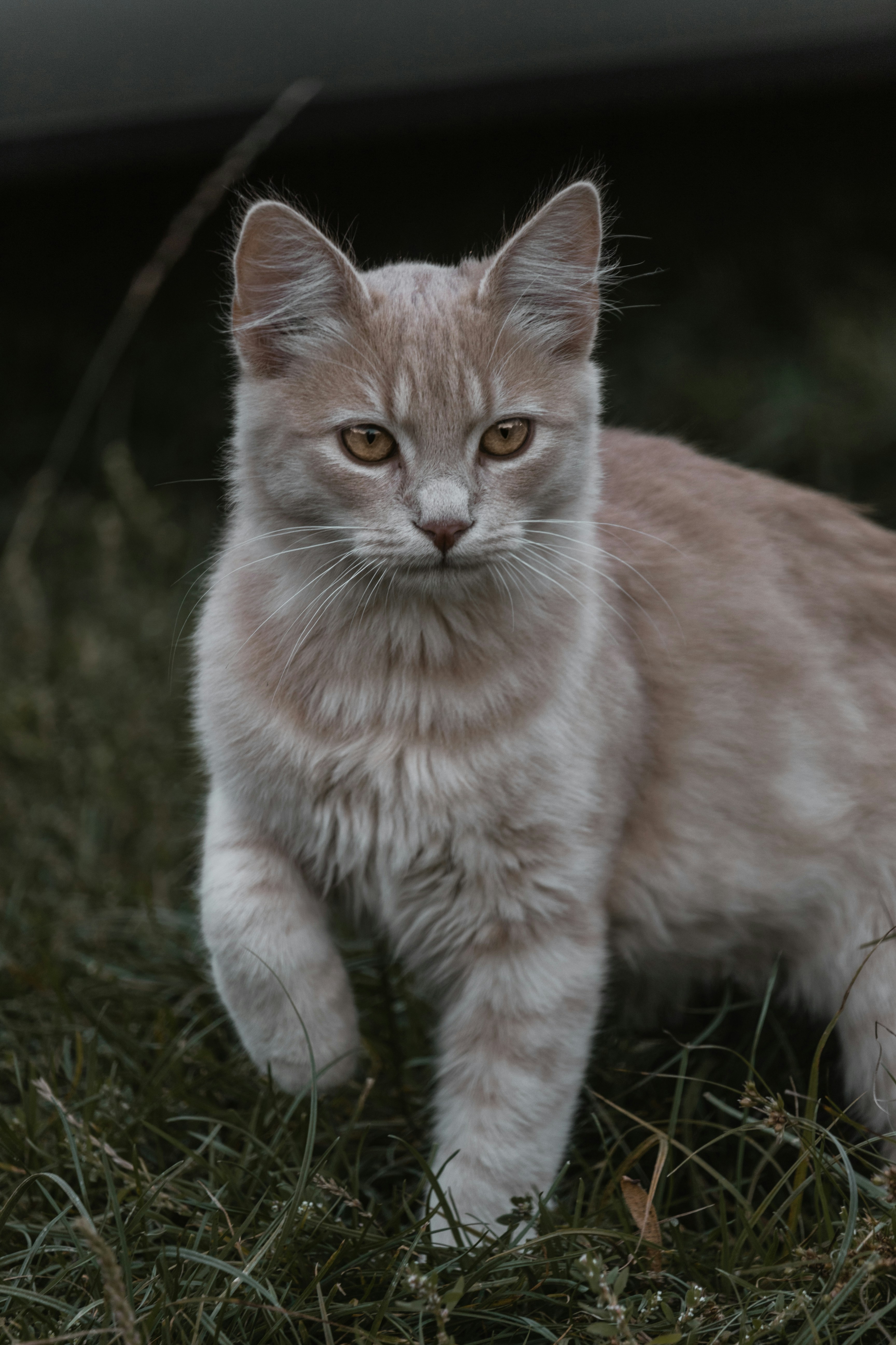 Photo by stefanmares