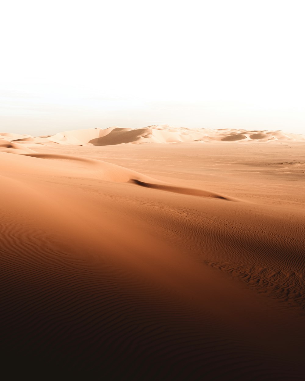 Eine Wüstenlandschaft mit Sanddünen in der Ferne