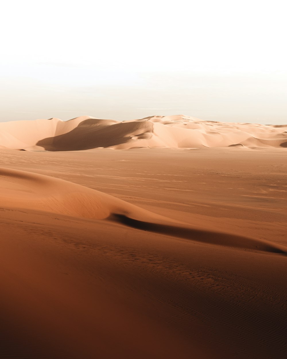 a person riding a horse in the desert