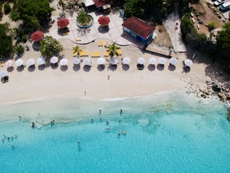 an aerial view of a beach with umbrellas and chairs