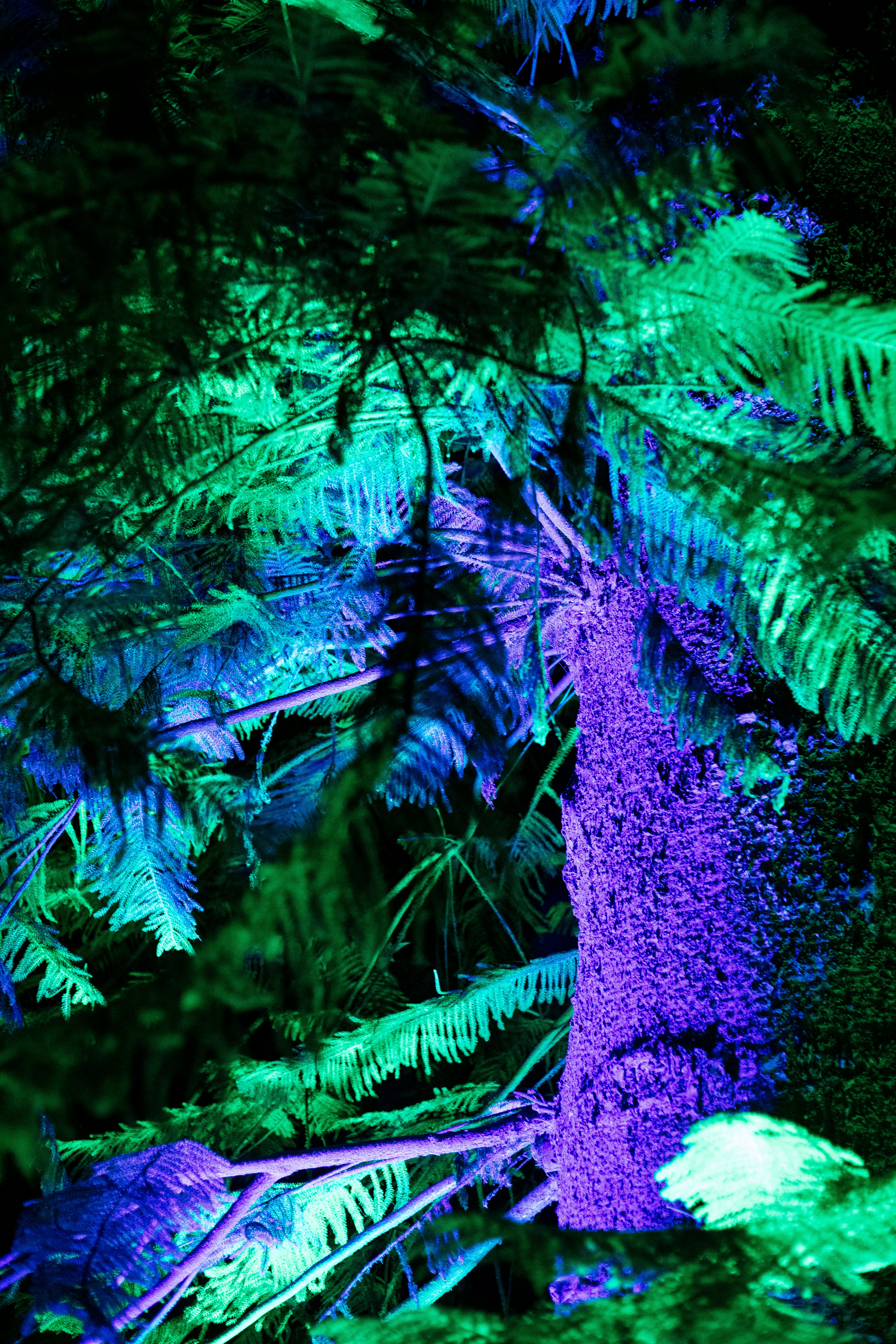 Photo by juliamatuzova