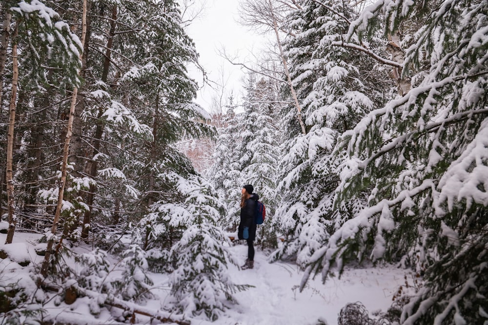 a person walking through a snow covered forest