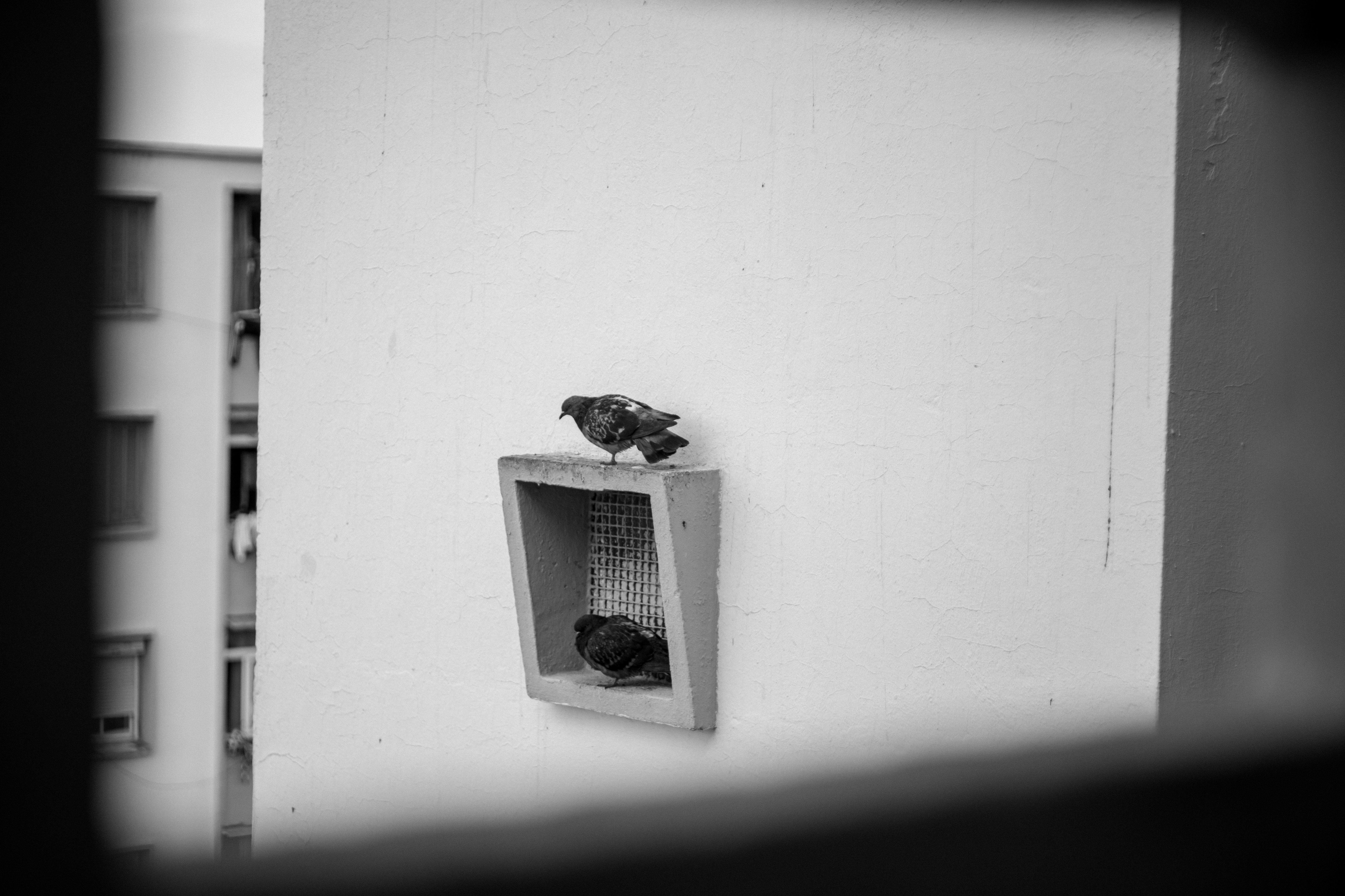 Photo by fethibenattallah