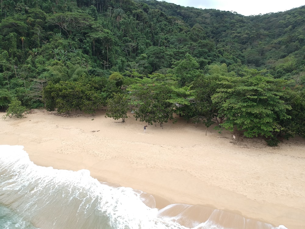 Una vista aérea de una playa de arena con árboles en el fondo