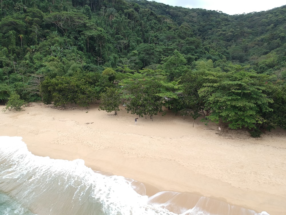 an aerial view of a sandy beach with trees in the background