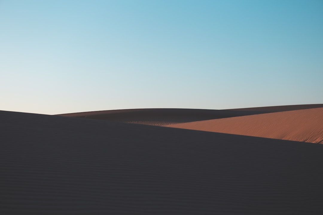 a lone tree in the middle of a desert,