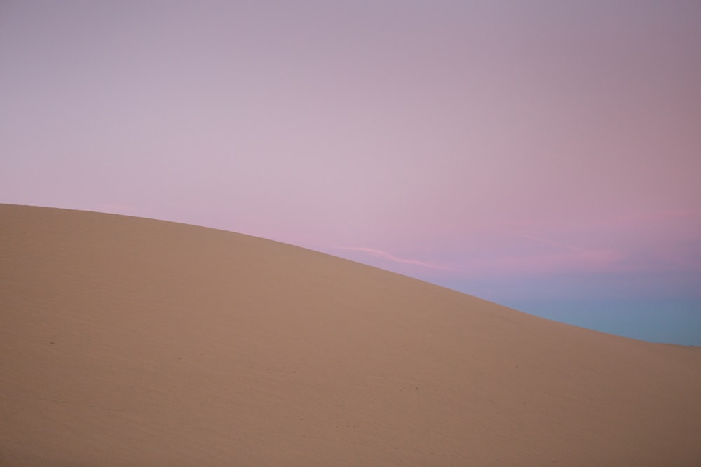 a lone tree in the middle of a desert