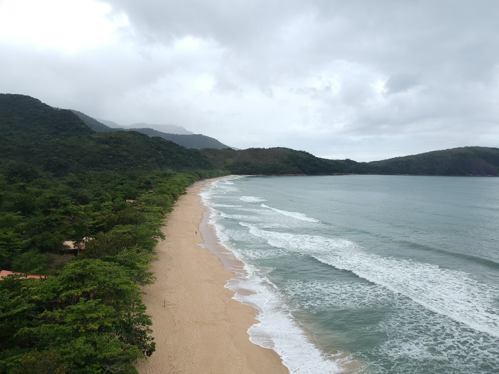 a view of a beach and a forested area