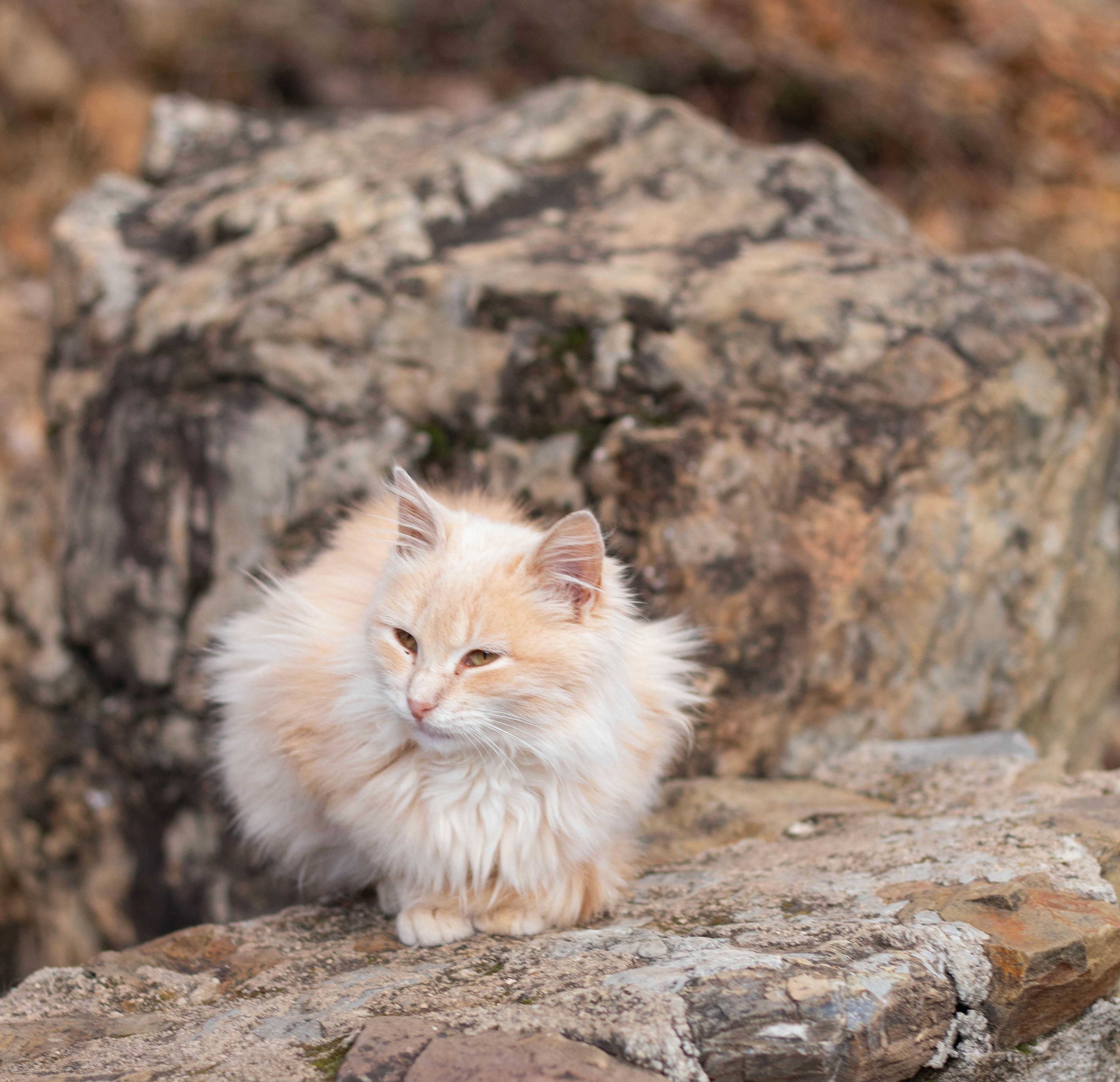 Photo by imadsvision