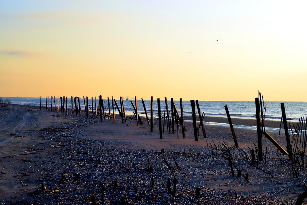 a row of wooden posts on the beach