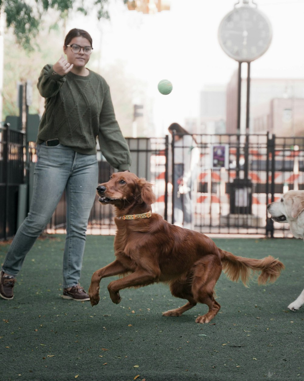 a woman is playing with two dogs in a park