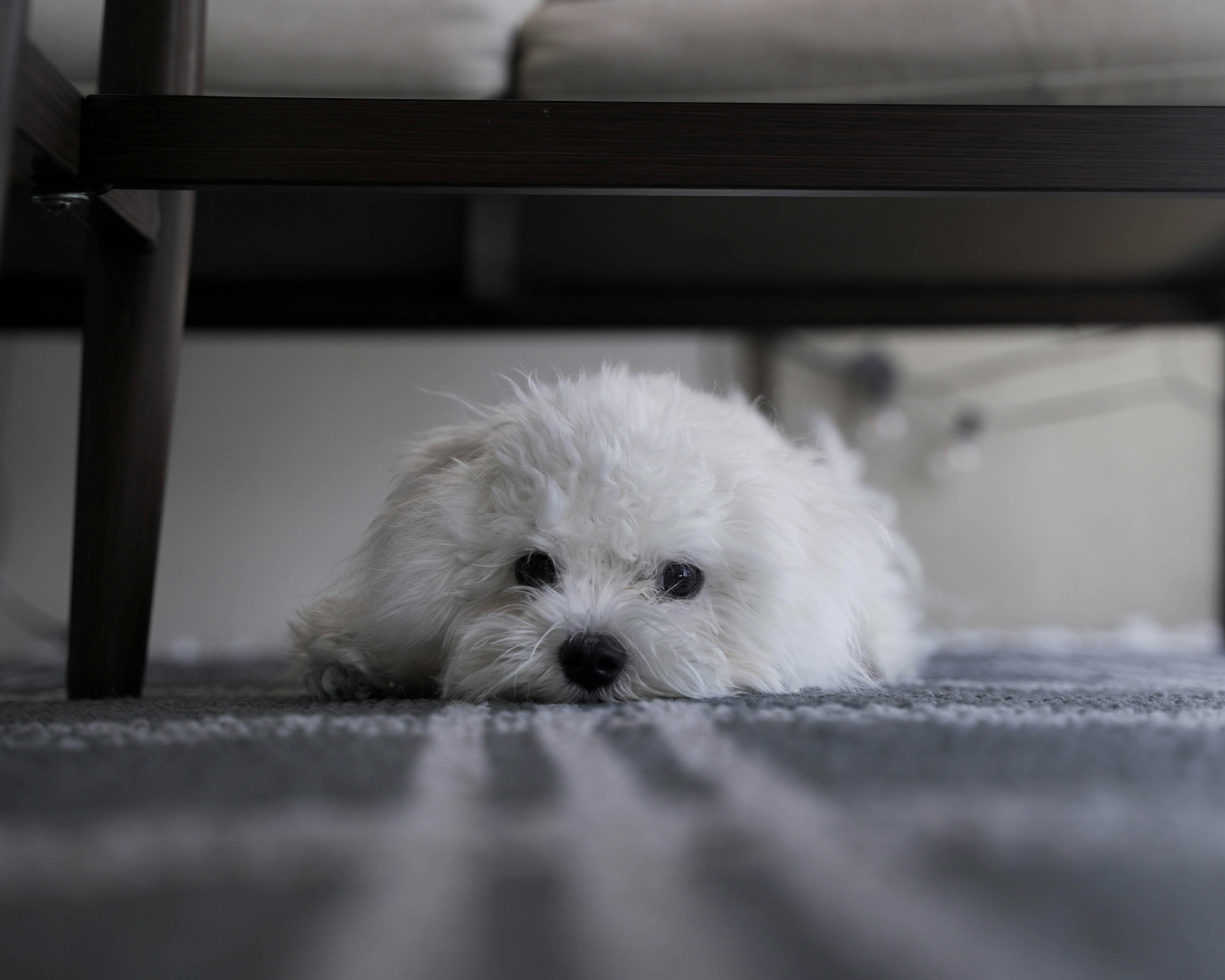 Photo by karthik1324