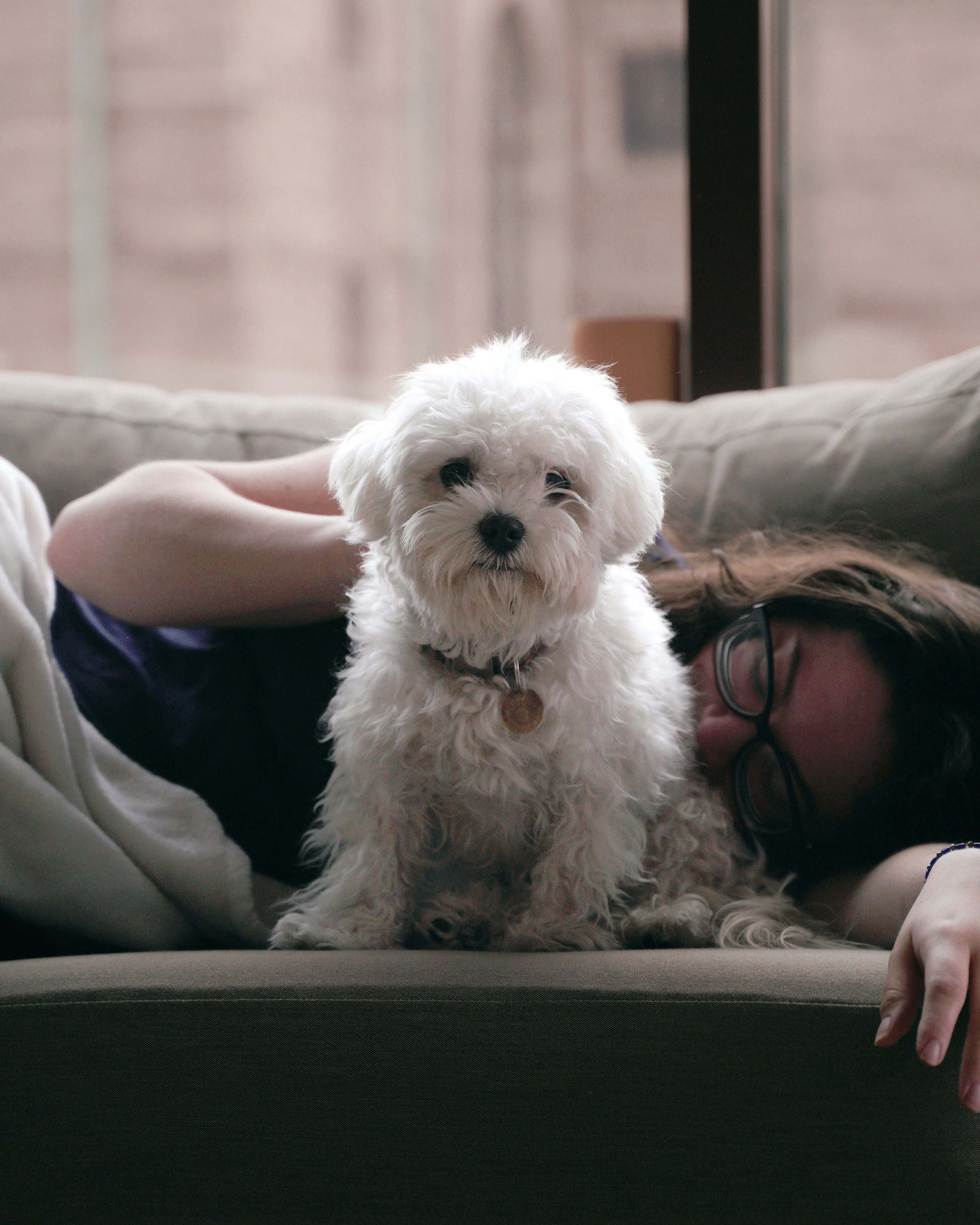 Photo by karthik1324