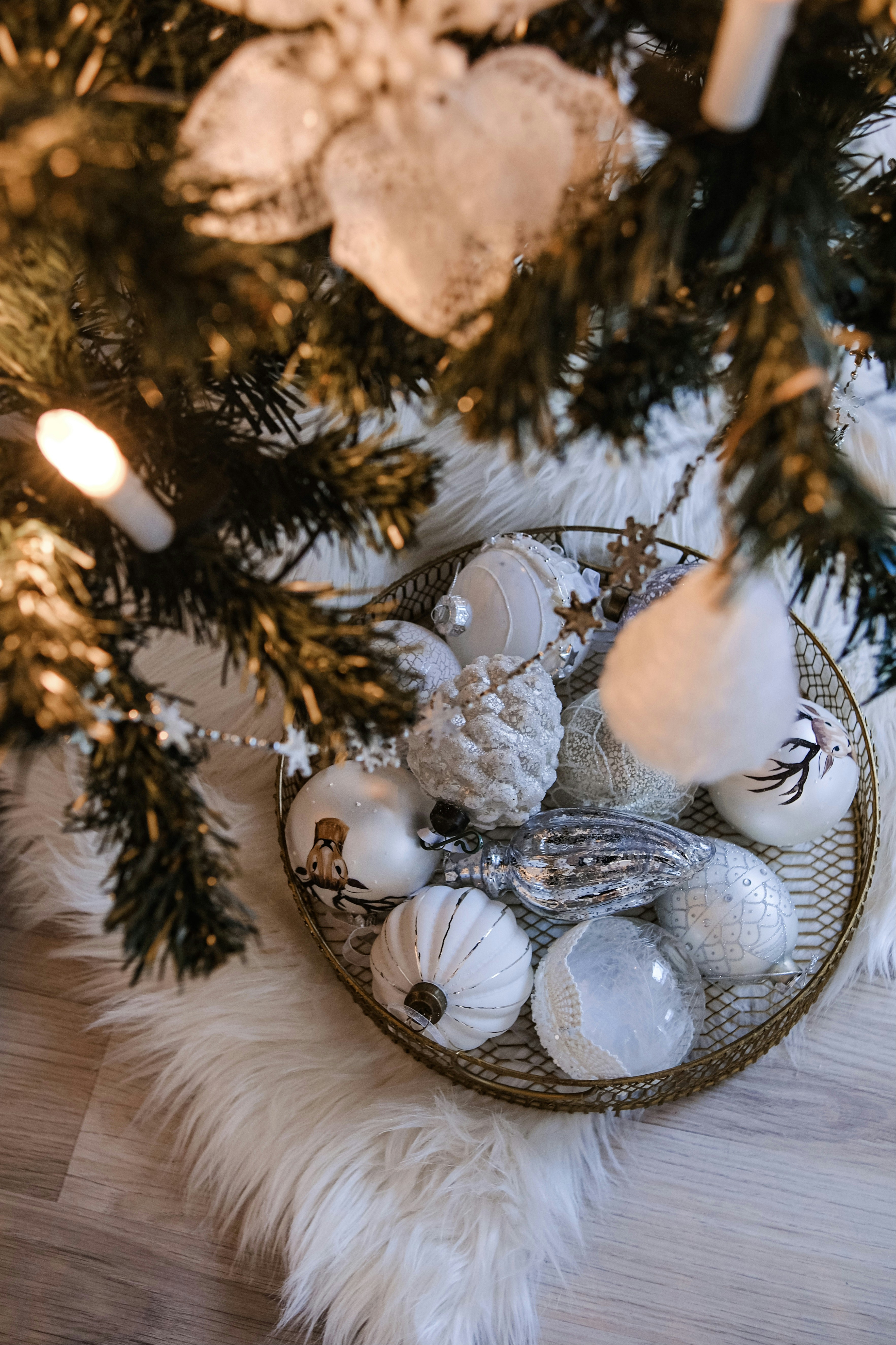 Photo by juliablumberg