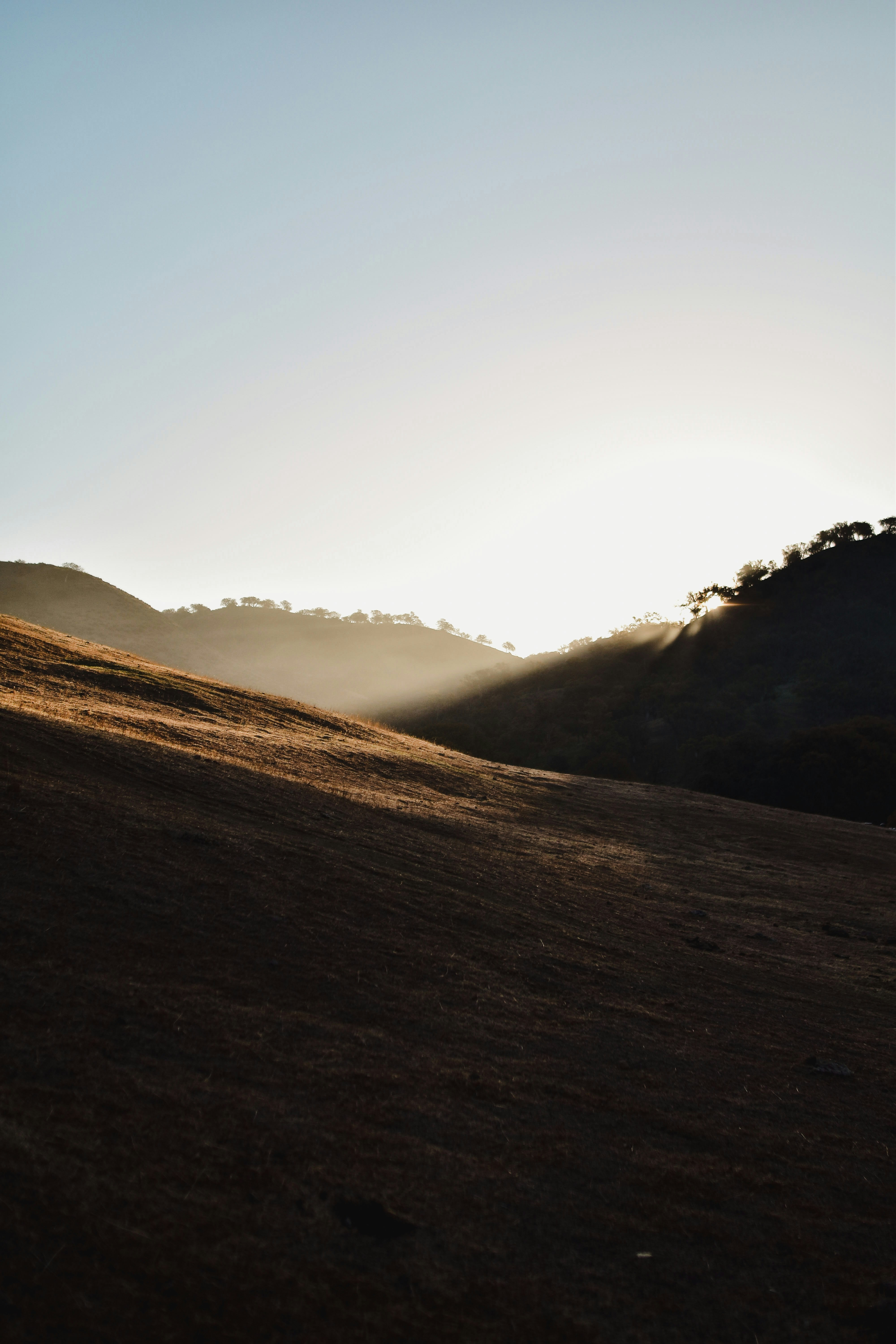 Photo by daniellestein