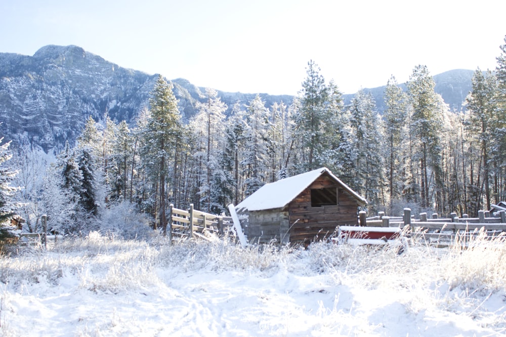 a cabin in the middle of a snowy field