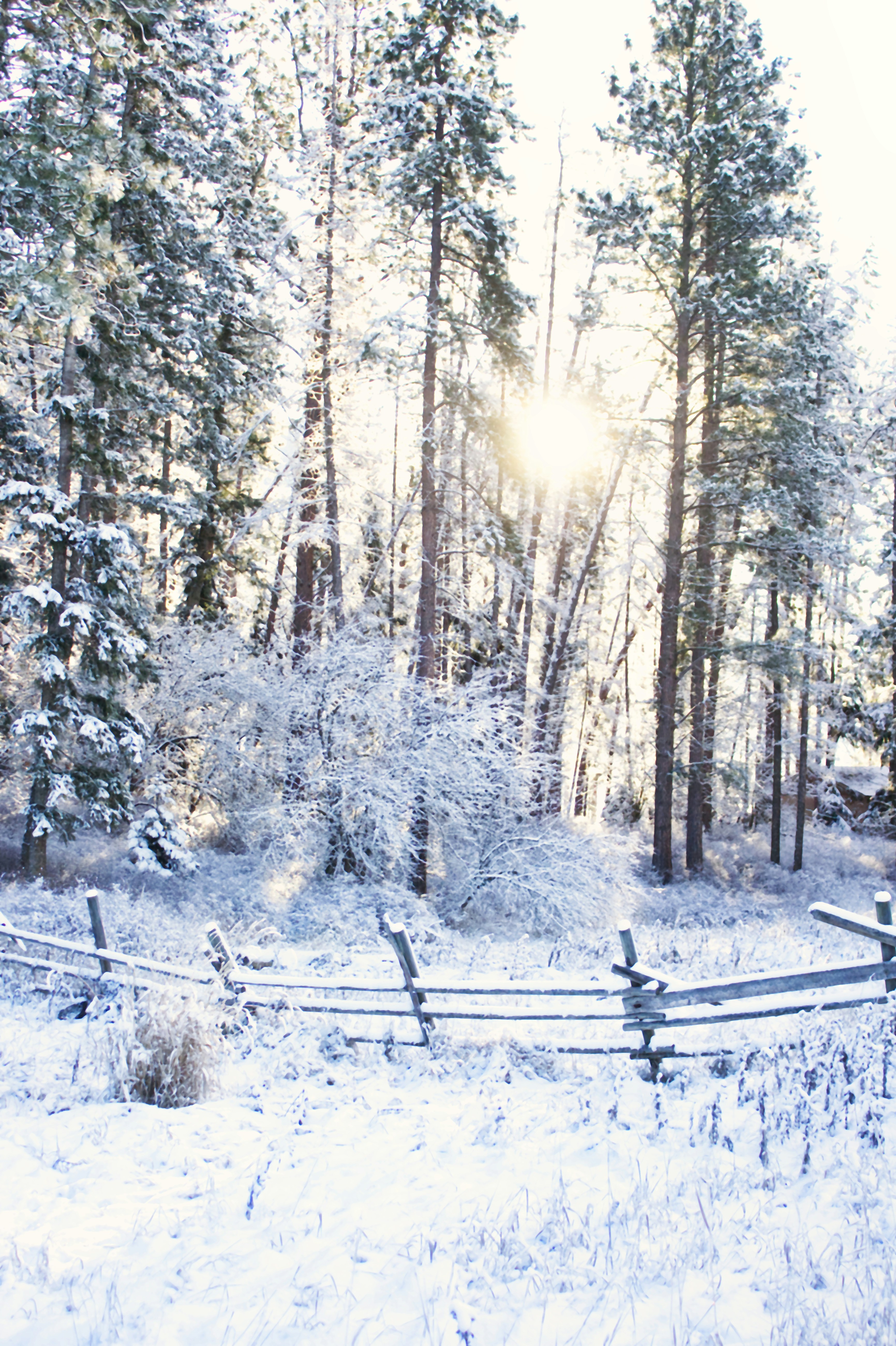 Photo by frozenmoments